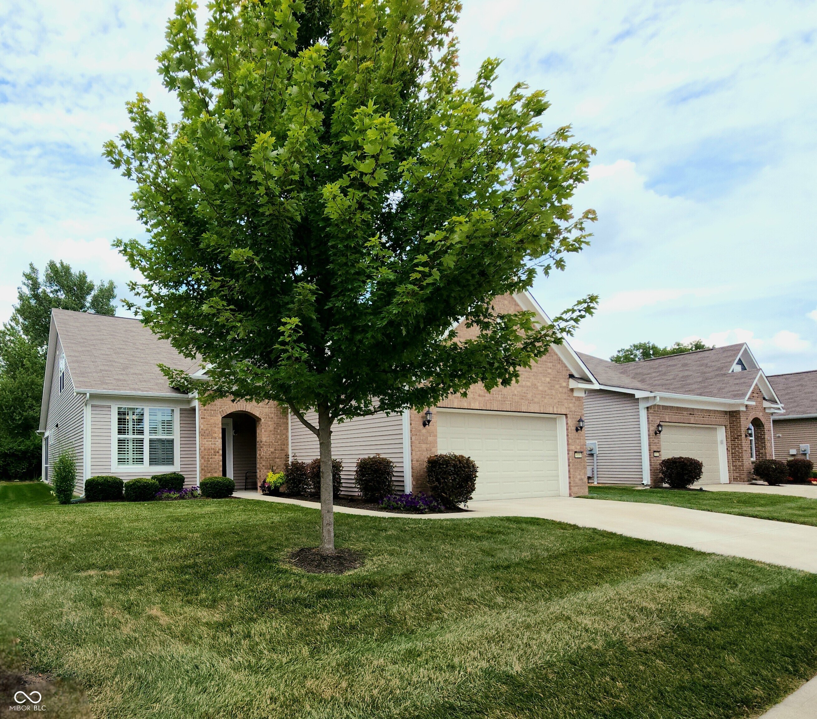 4890 Mimosa Drive