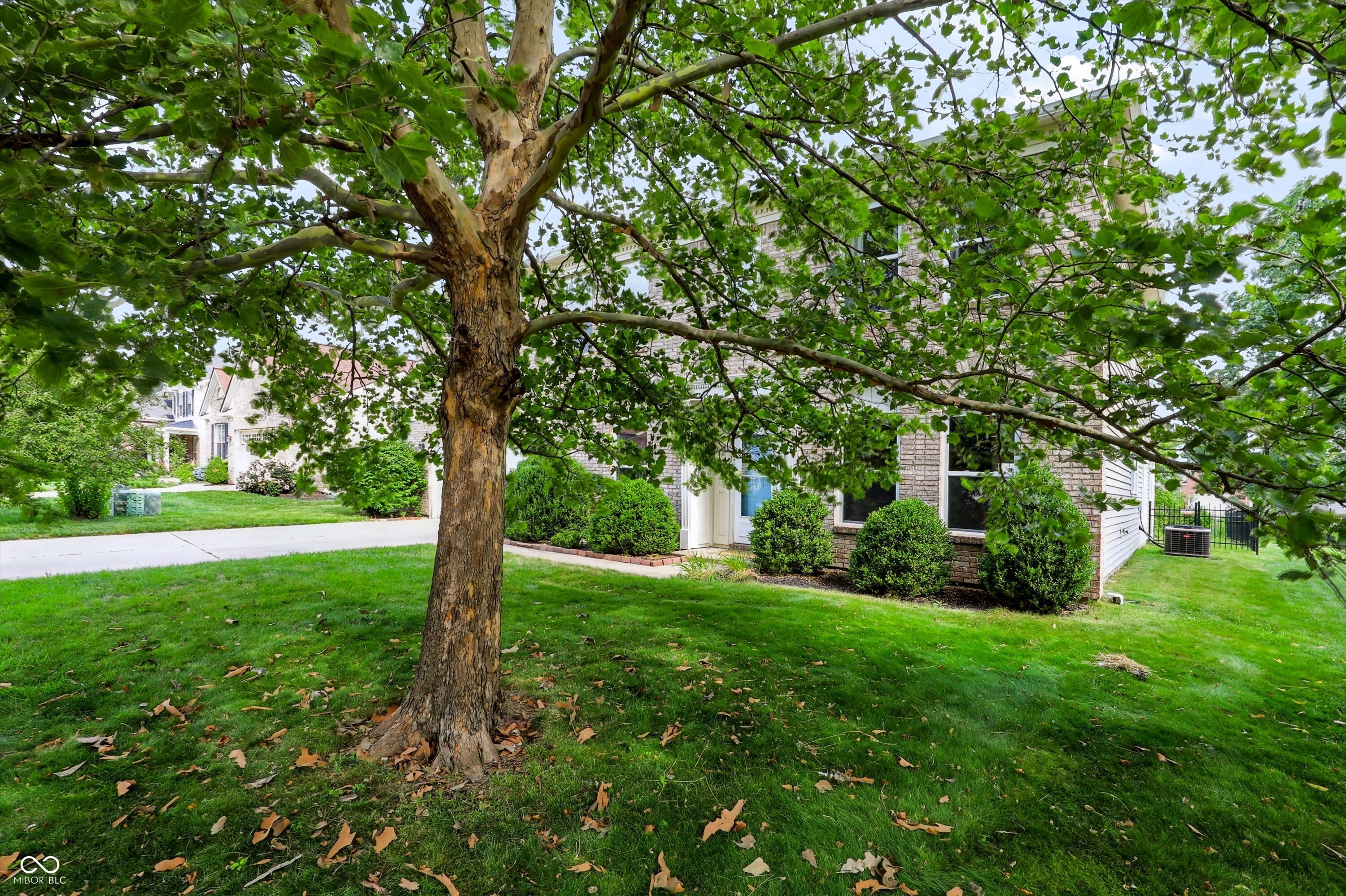 438 Marengo Trail