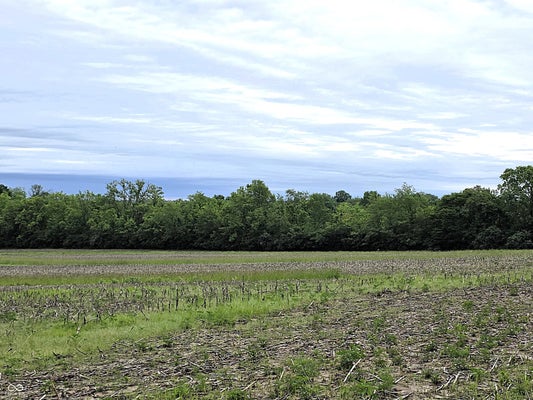 2 LEX LN, PARAGON, IN 46166 - Image 8b5cbf1aa7679dd69b0d6cea0a122b76/93167214
