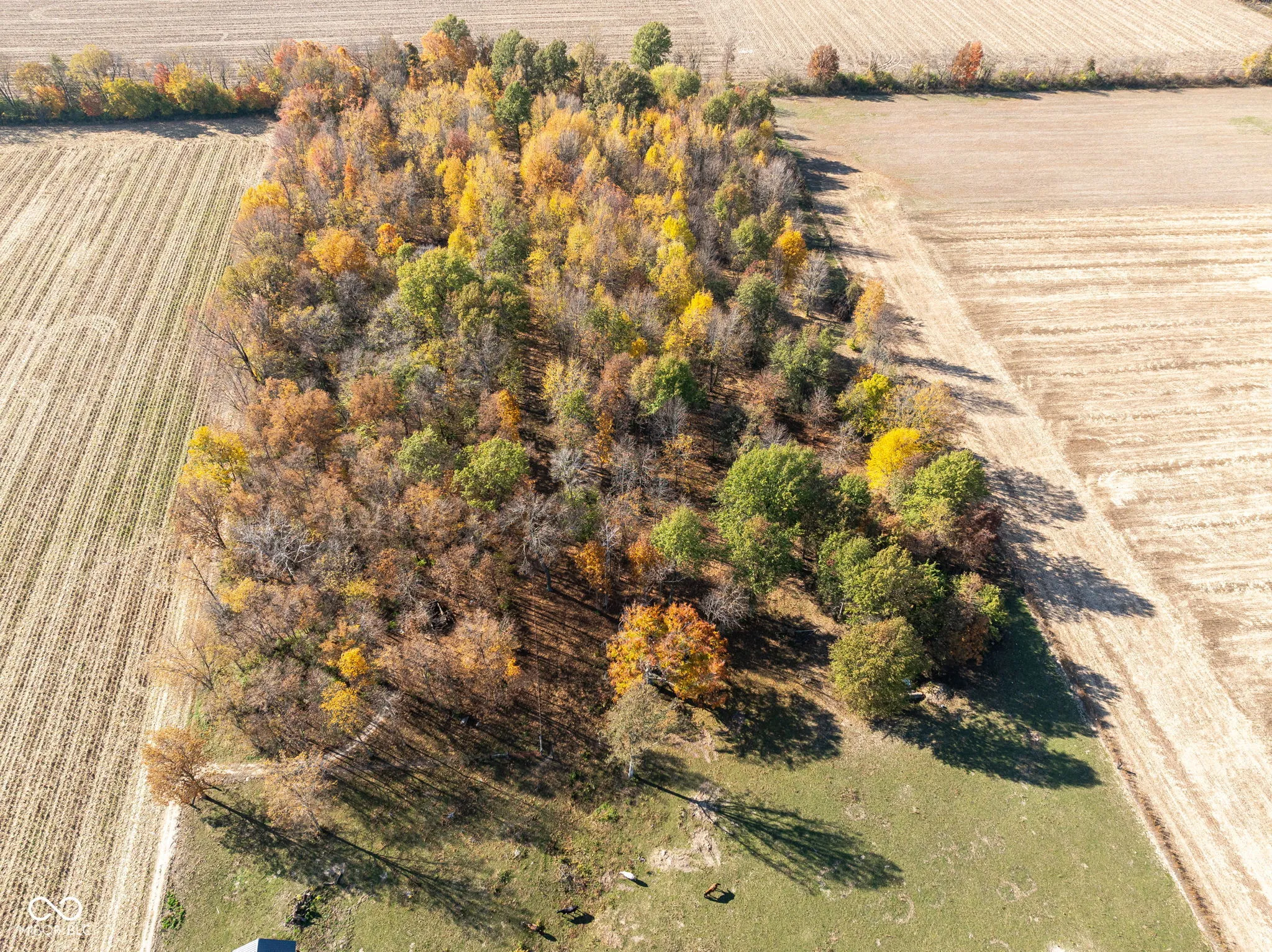 Pendleton, Indiana 46064, United States, 4 Bedrooms Bedrooms, ,3 BathroomsBathrooms,Residential,Pending,35440