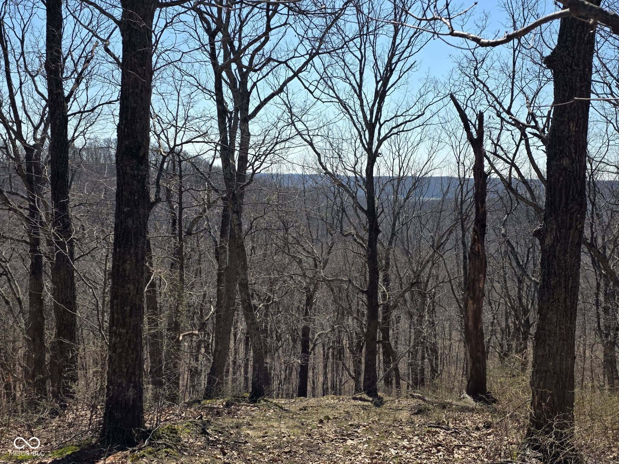 9300 E Of Delaney Park Road