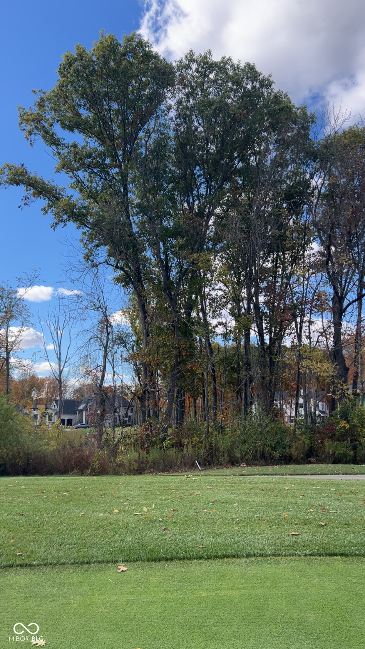 3725 Holliday Farms Boulevard