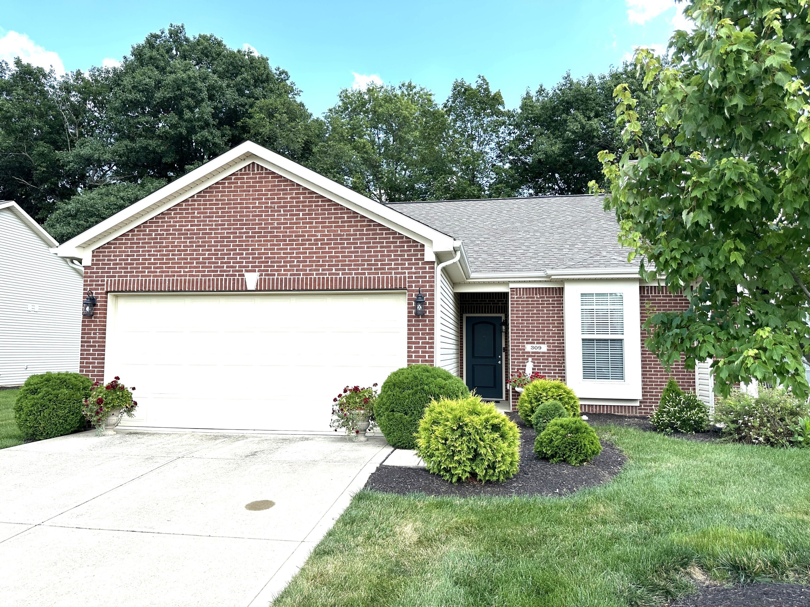 309 Dylan Drive
