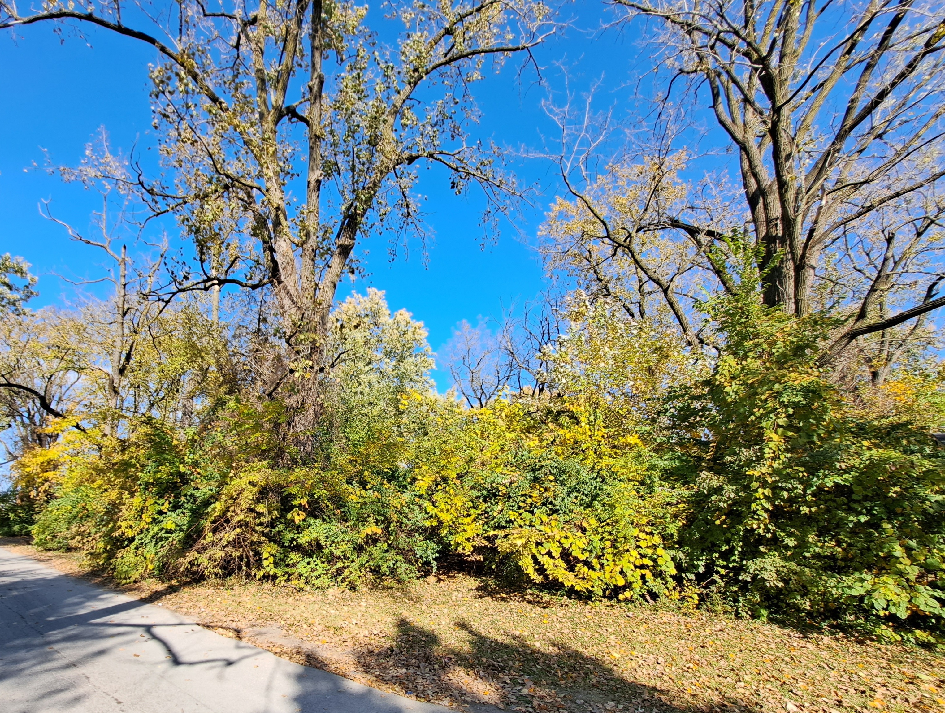 Photo 3 of 3 of 2921 N Euclid Avenue land