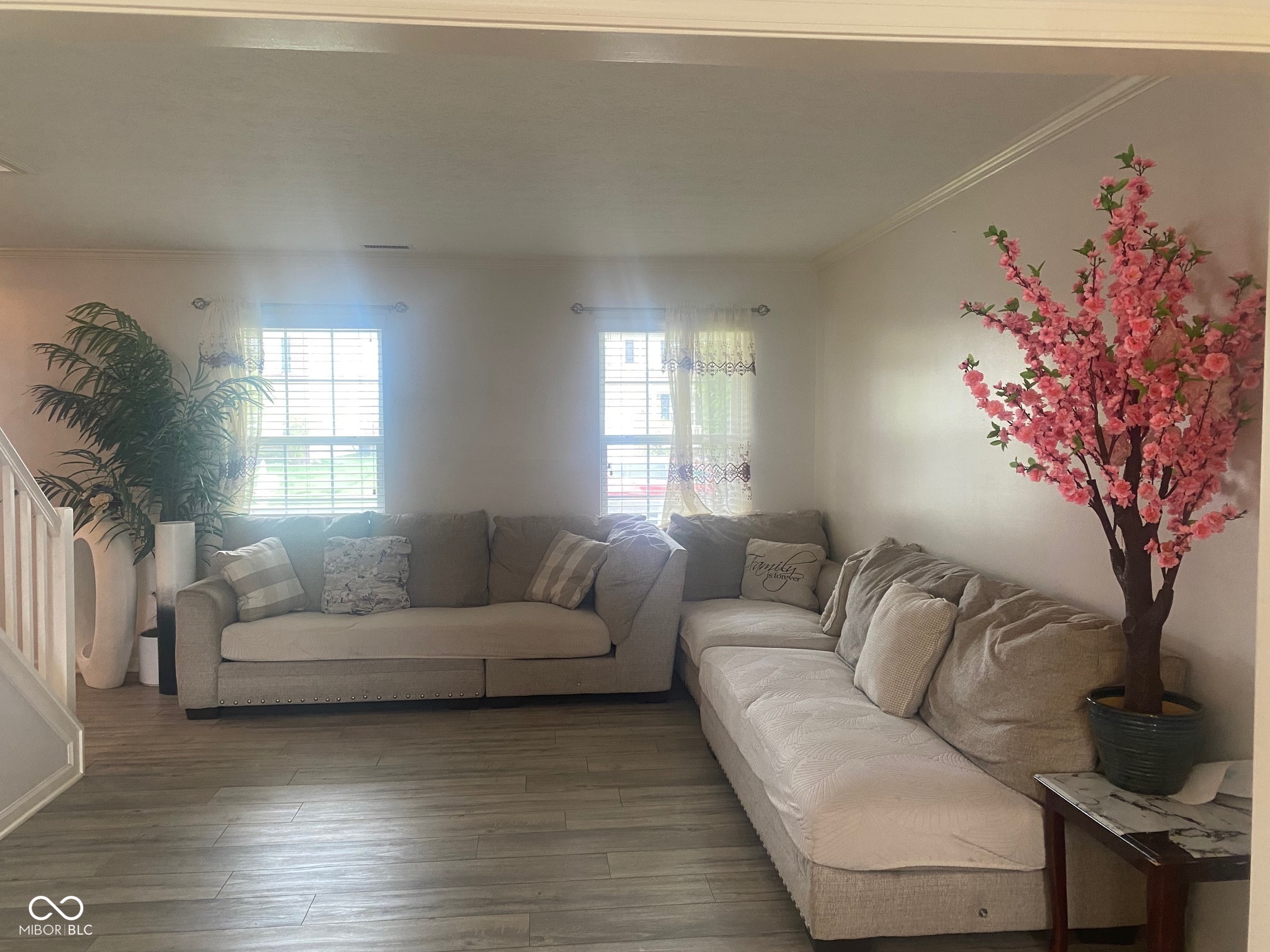 6425 Bonneville Drive