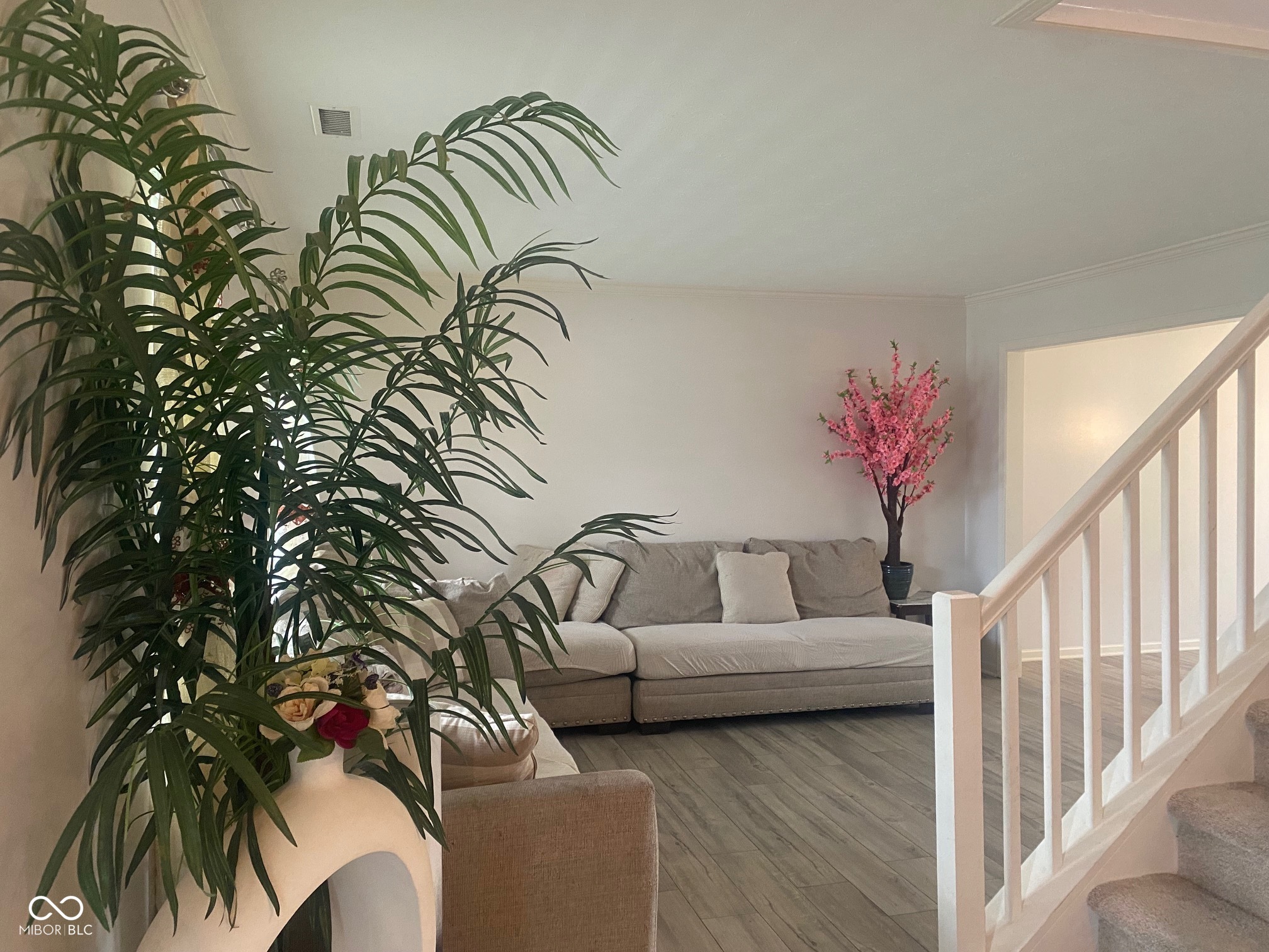 6425 Bonneville Drive