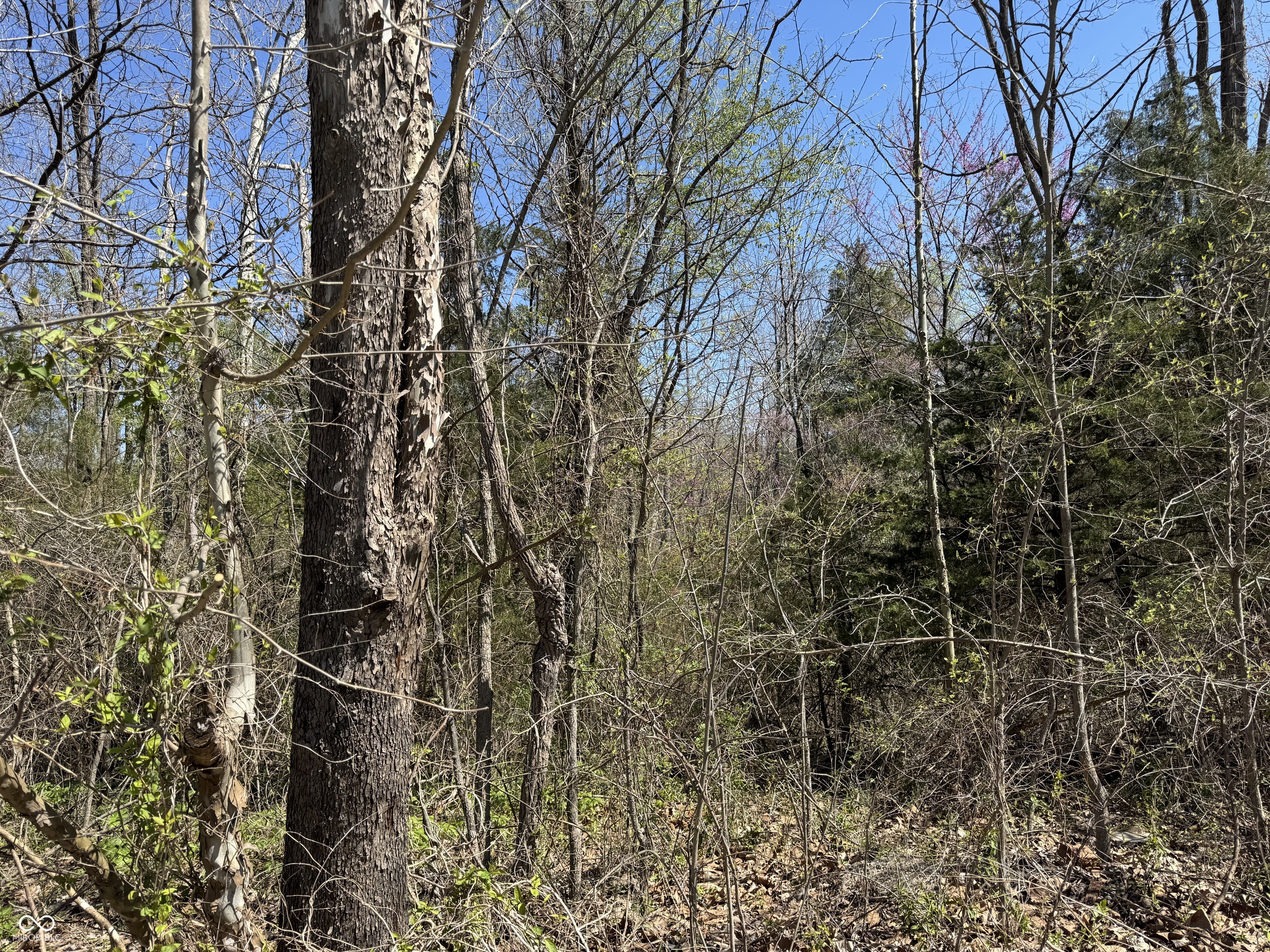 Lot B-21 State Highway 46