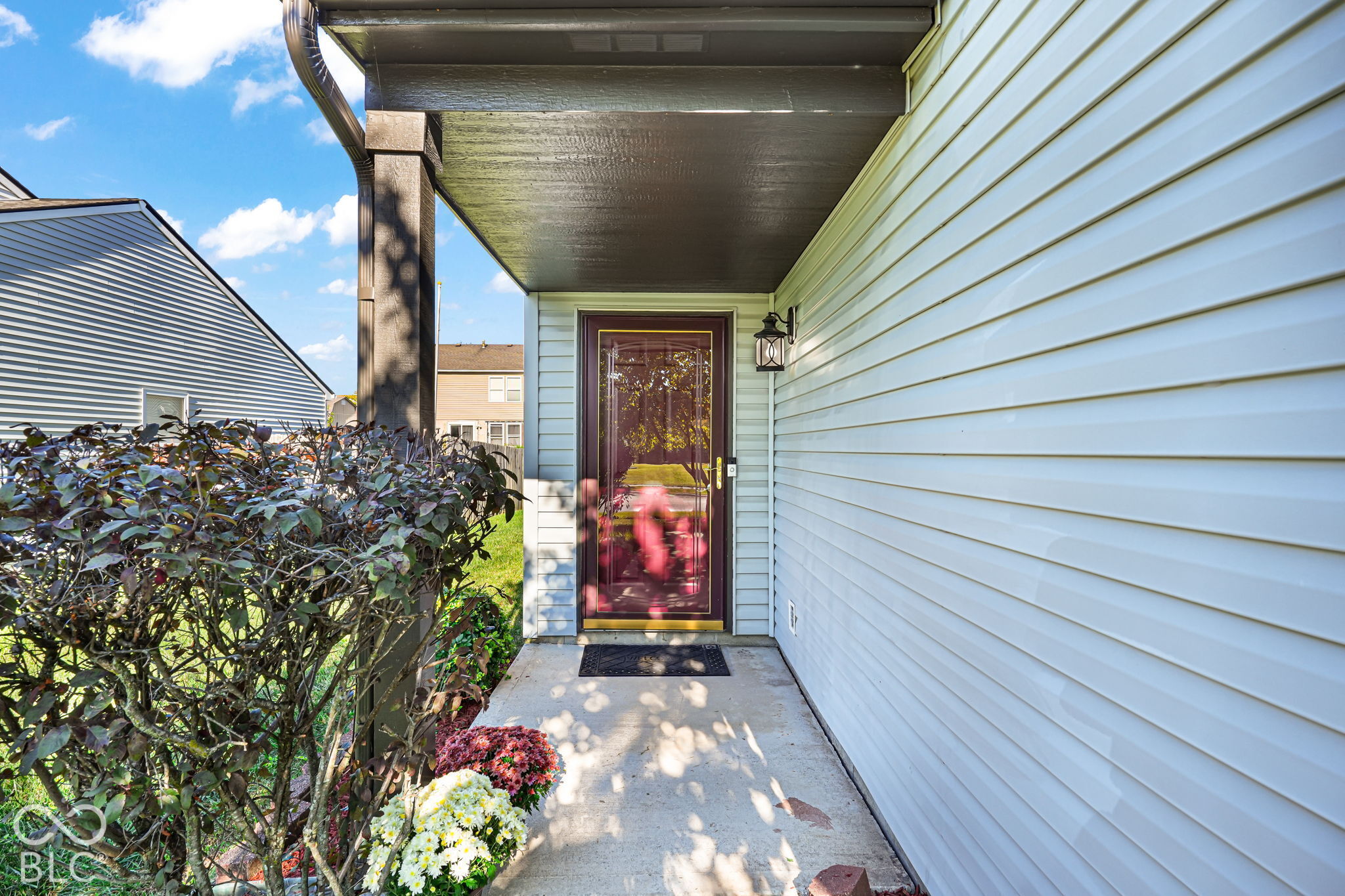 3336 Capsella Lane