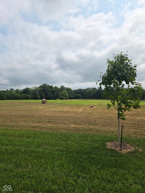 Photo for 981 Lewis Lane
