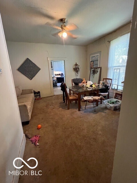 34 Mildred Street