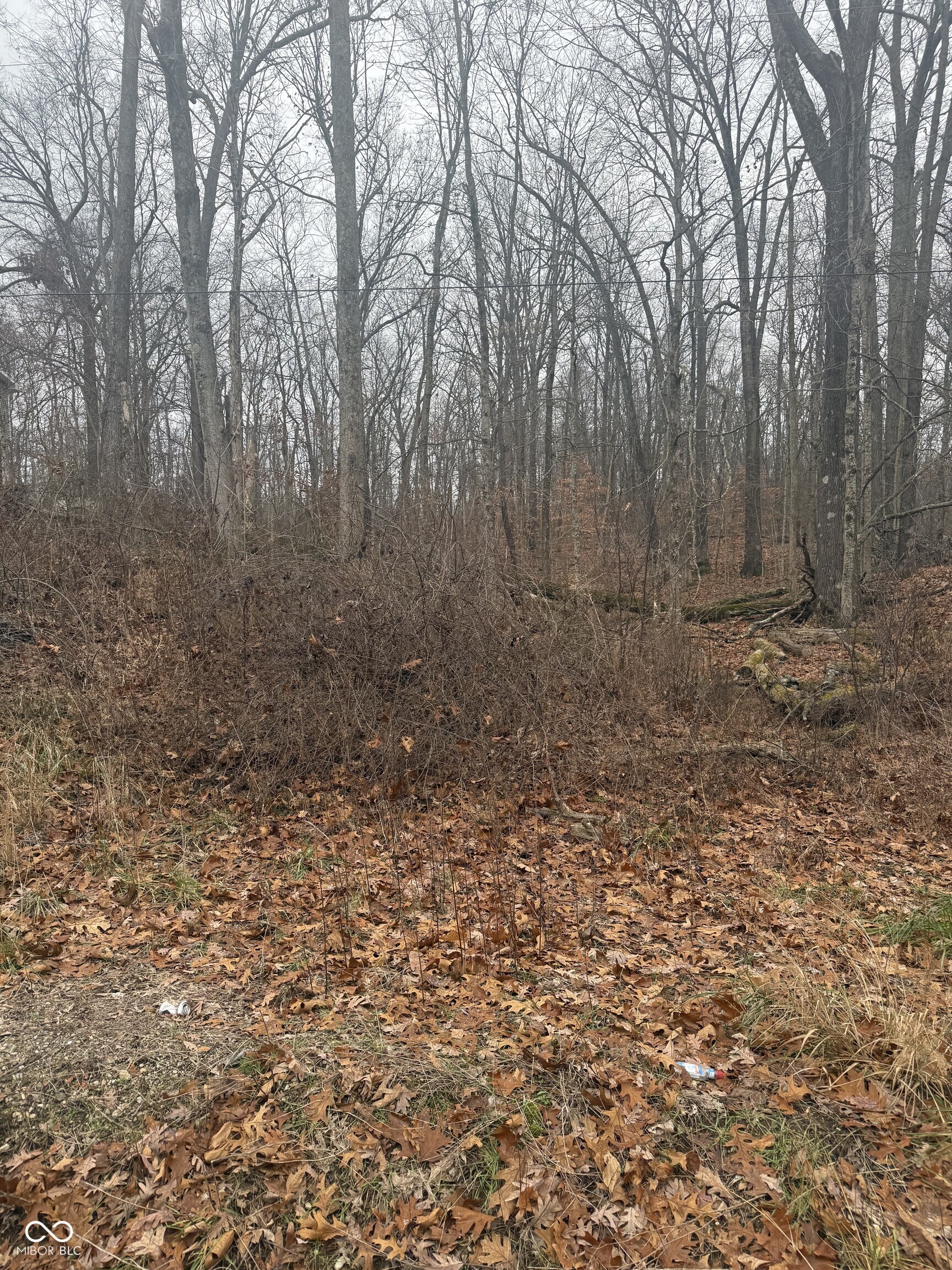 000 Airport West Road