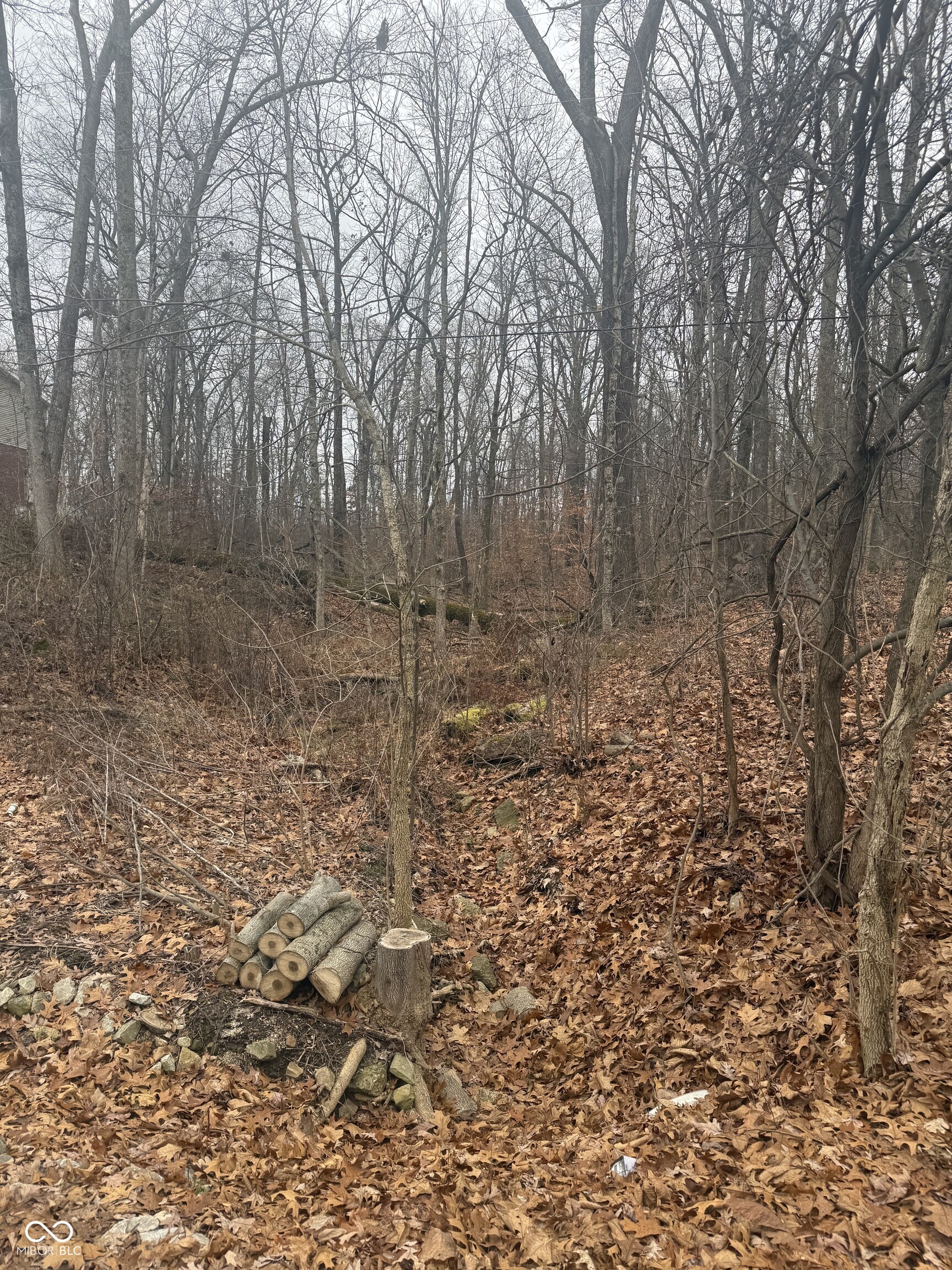 000 Airport West Road