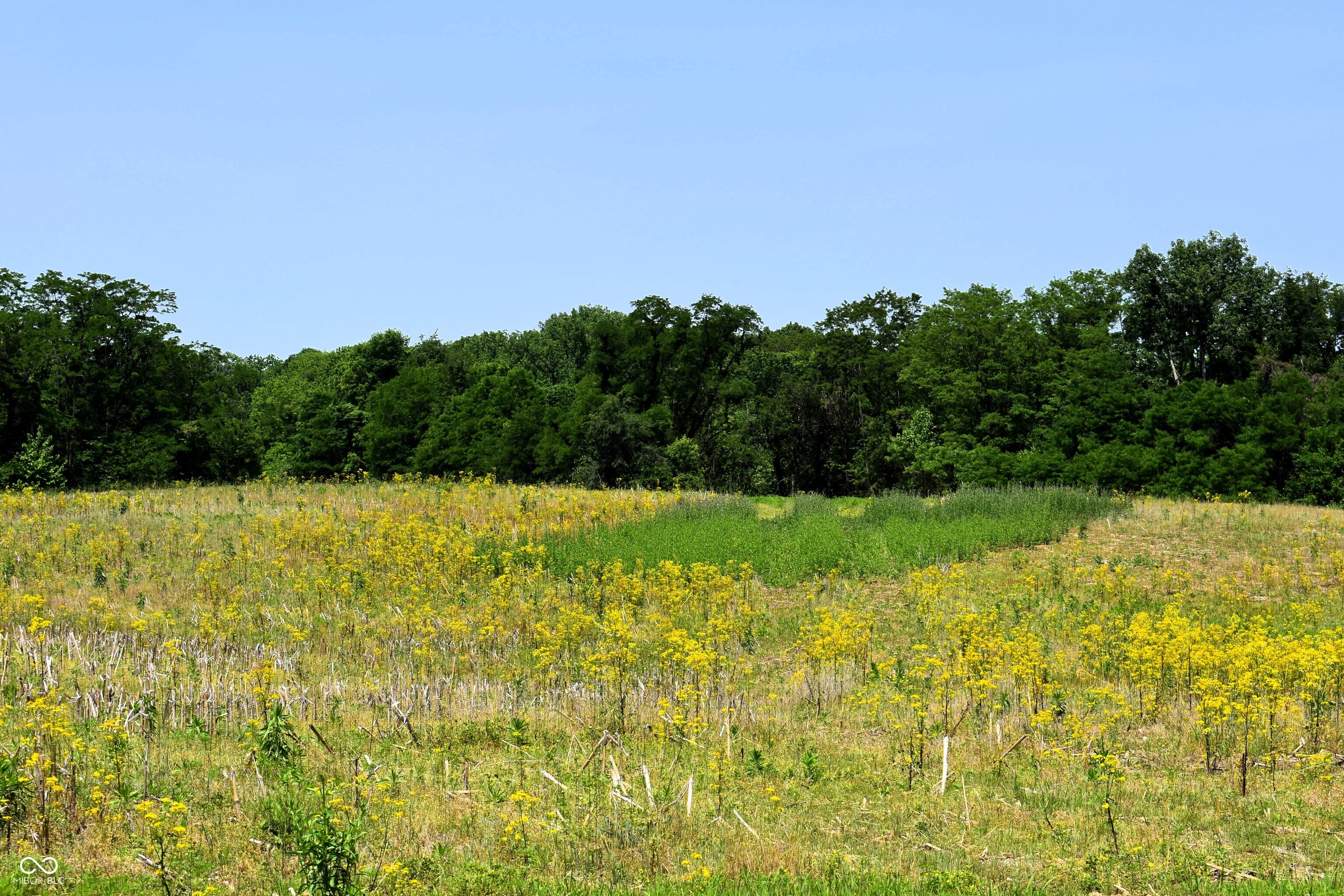 0 Whitetail Ridge Lot 3