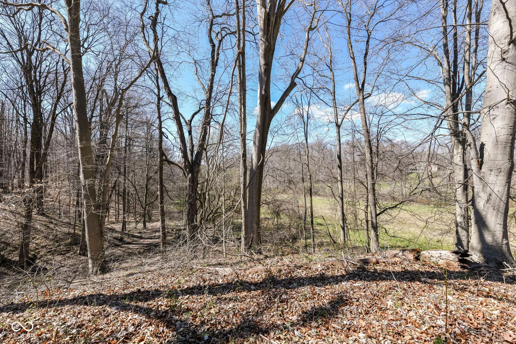 Martinsville, Indiana 46151, United States, ,Land,Active,51832