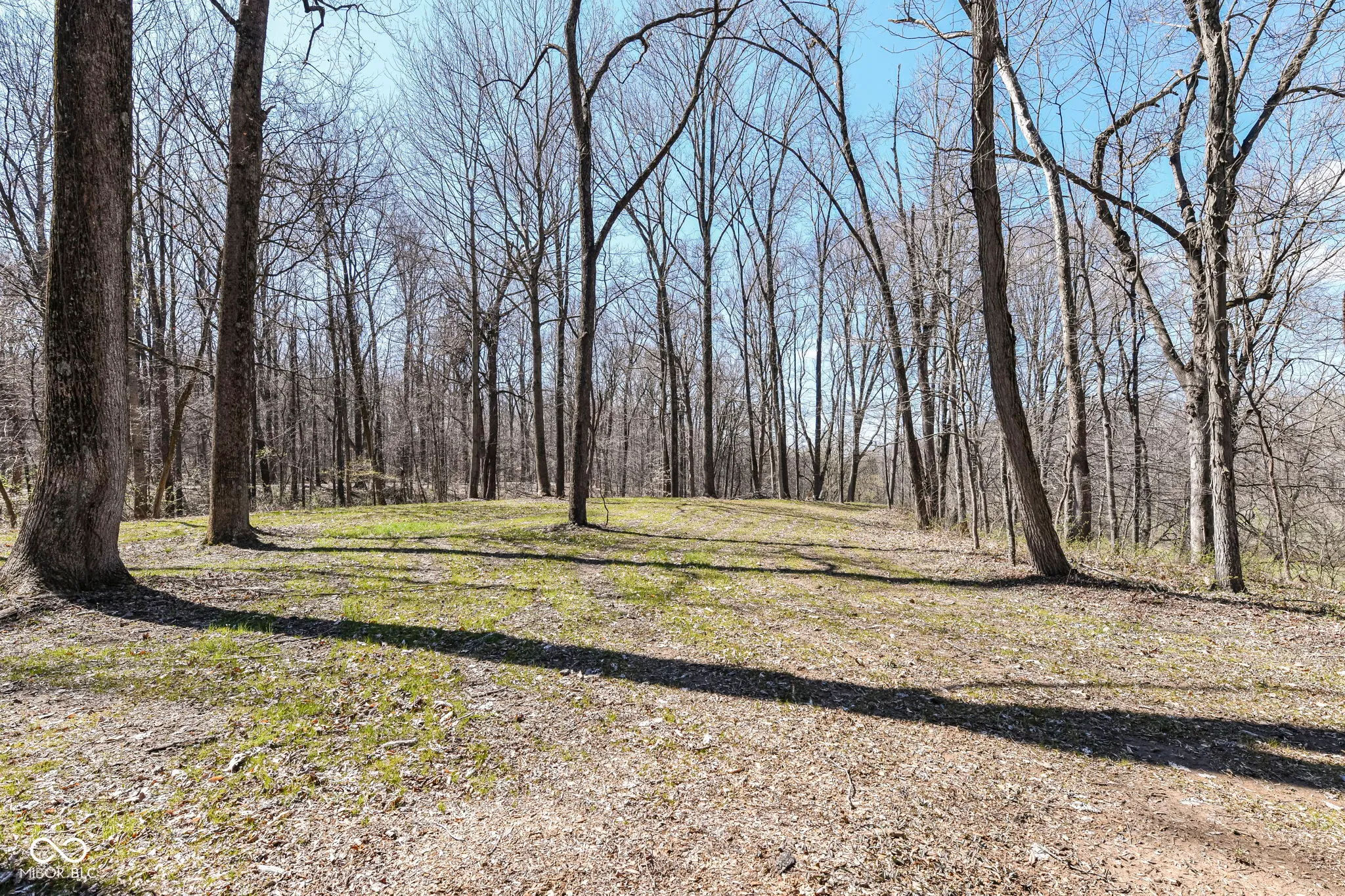 Martinsville, Indiana 46151, United States, ,Land,Active,51832