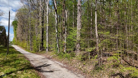 Photo for T2 E Cr 550 N