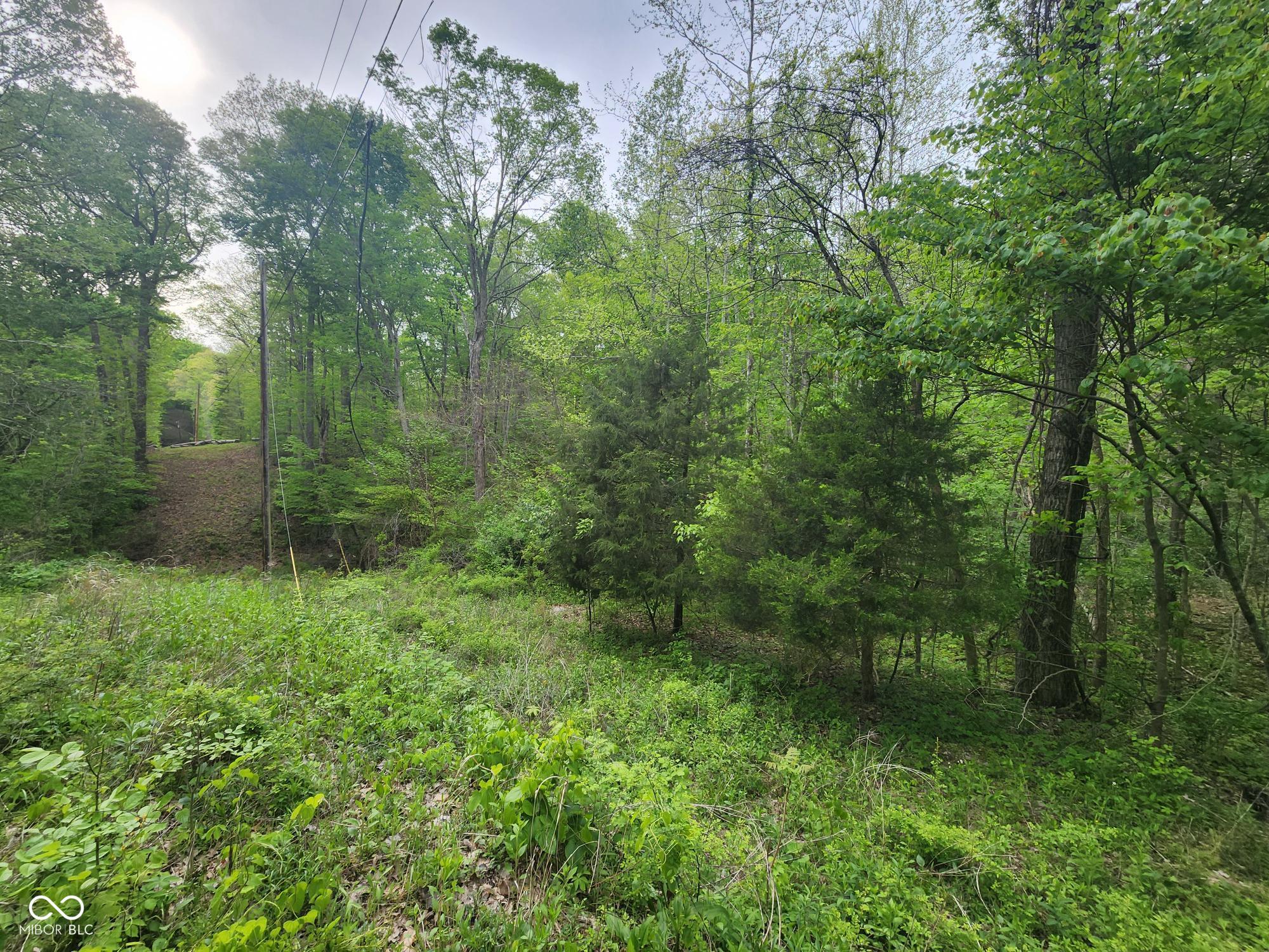 2921 W Cottonwood Road