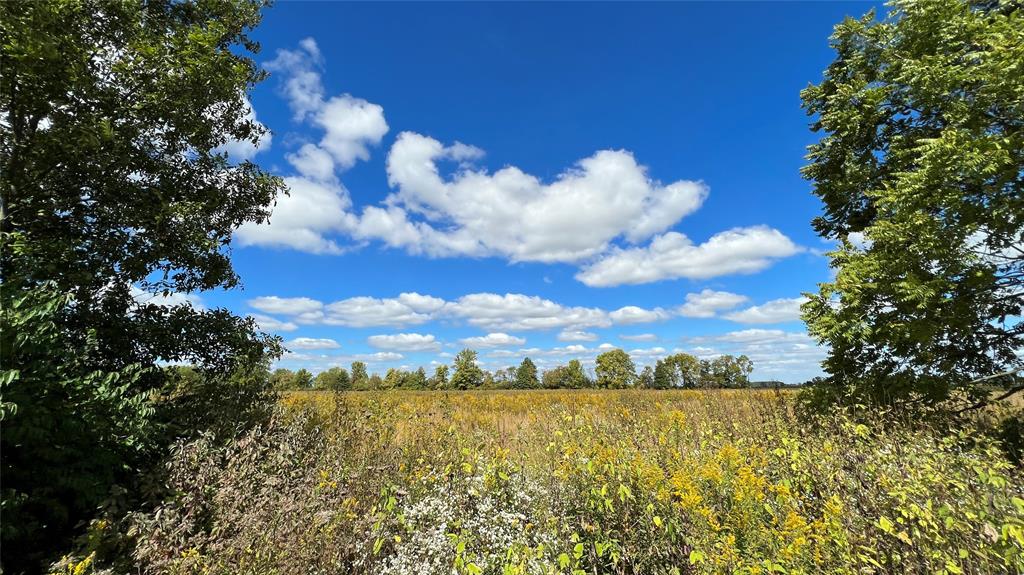 Photo 6 of 14 of 4583 N State Road 135 land