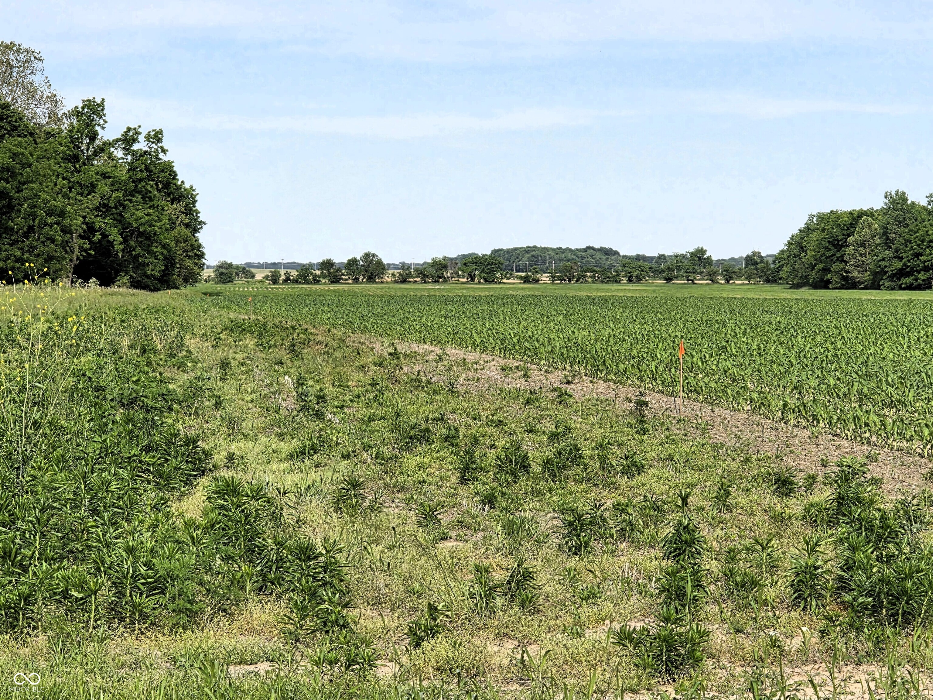 0 N State Road 75