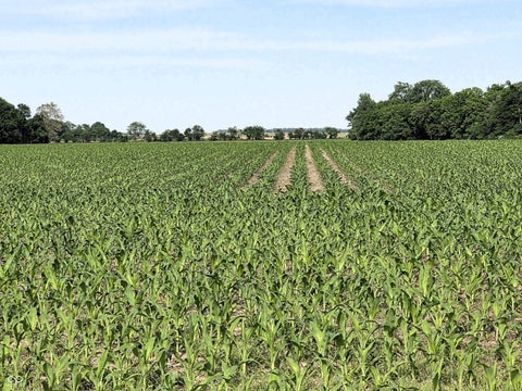 Photo for 0 N State Road 75