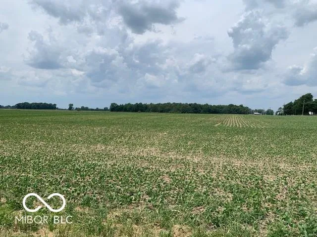 Sheridan, Indiana 46069, United States, ,Land,Active,233396