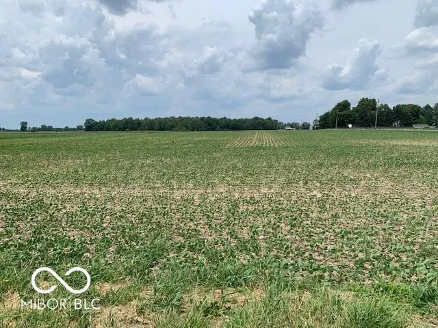 Sheridan, Indiana 46069, United States, ,Land,Active,233396