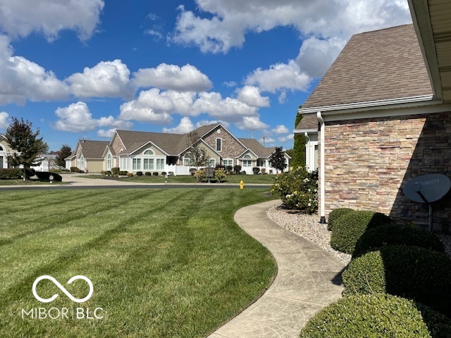 1161 Extraordinary Trail