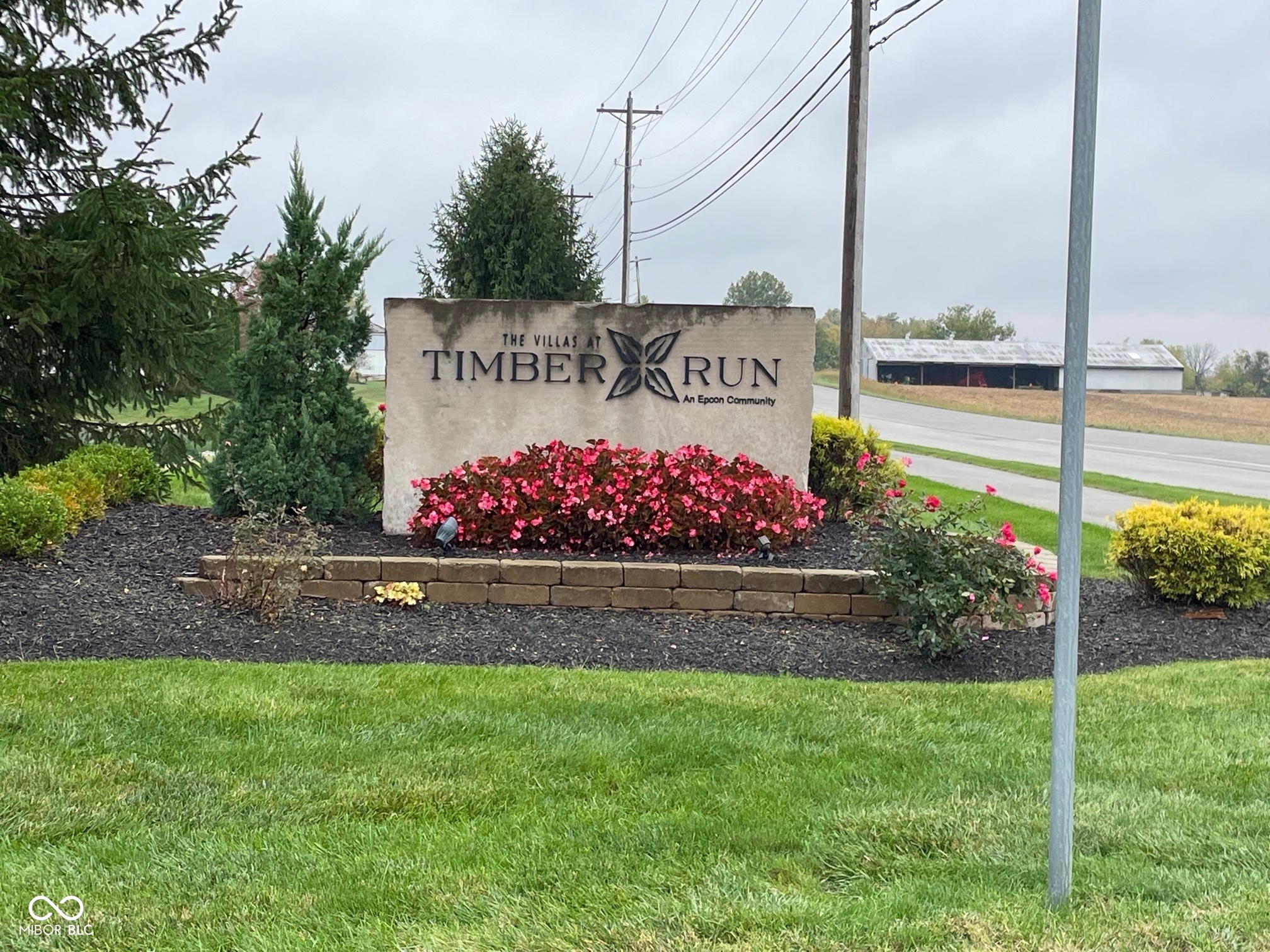 1161 Extraordinary Trail