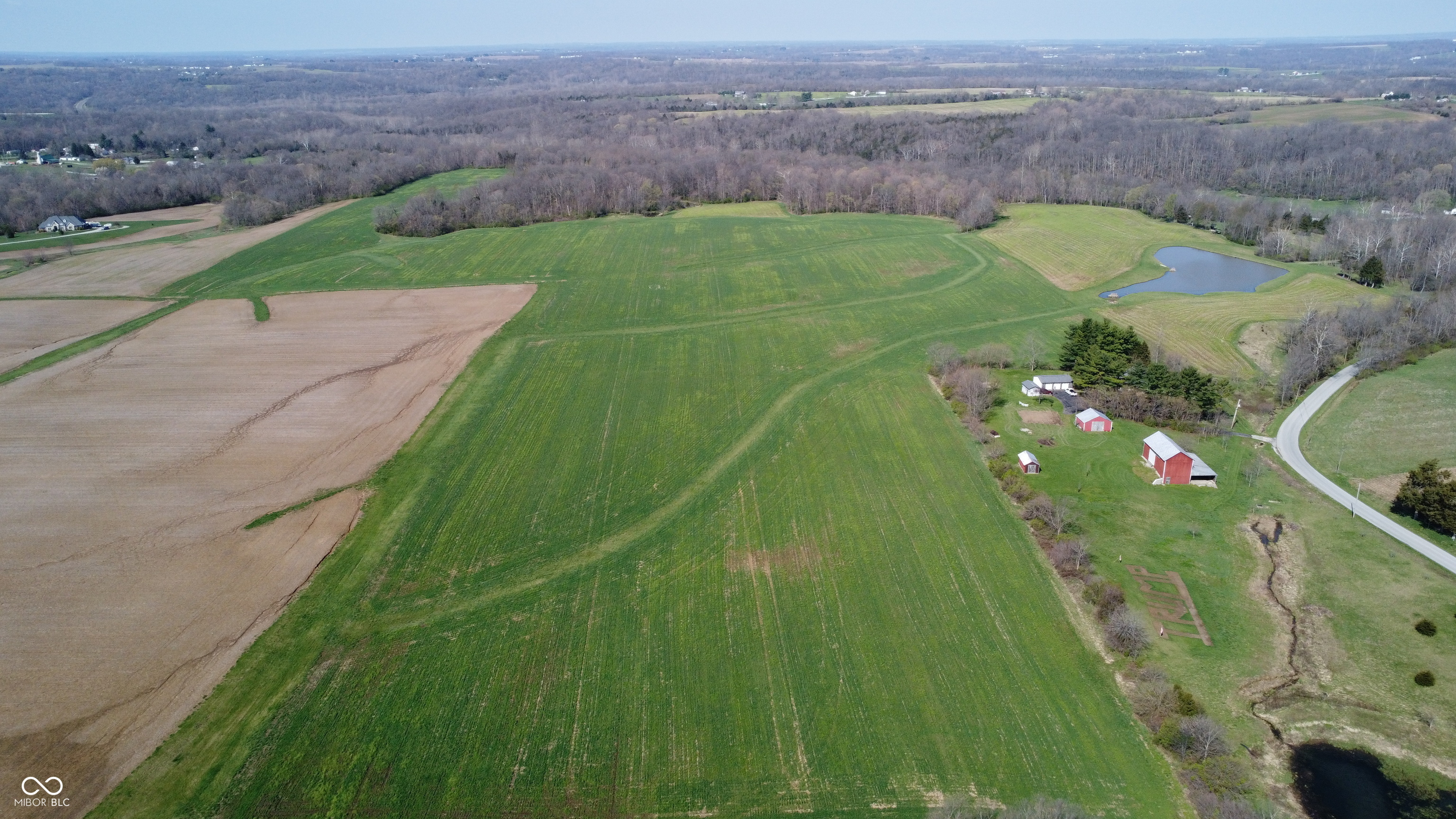 Listing image 1