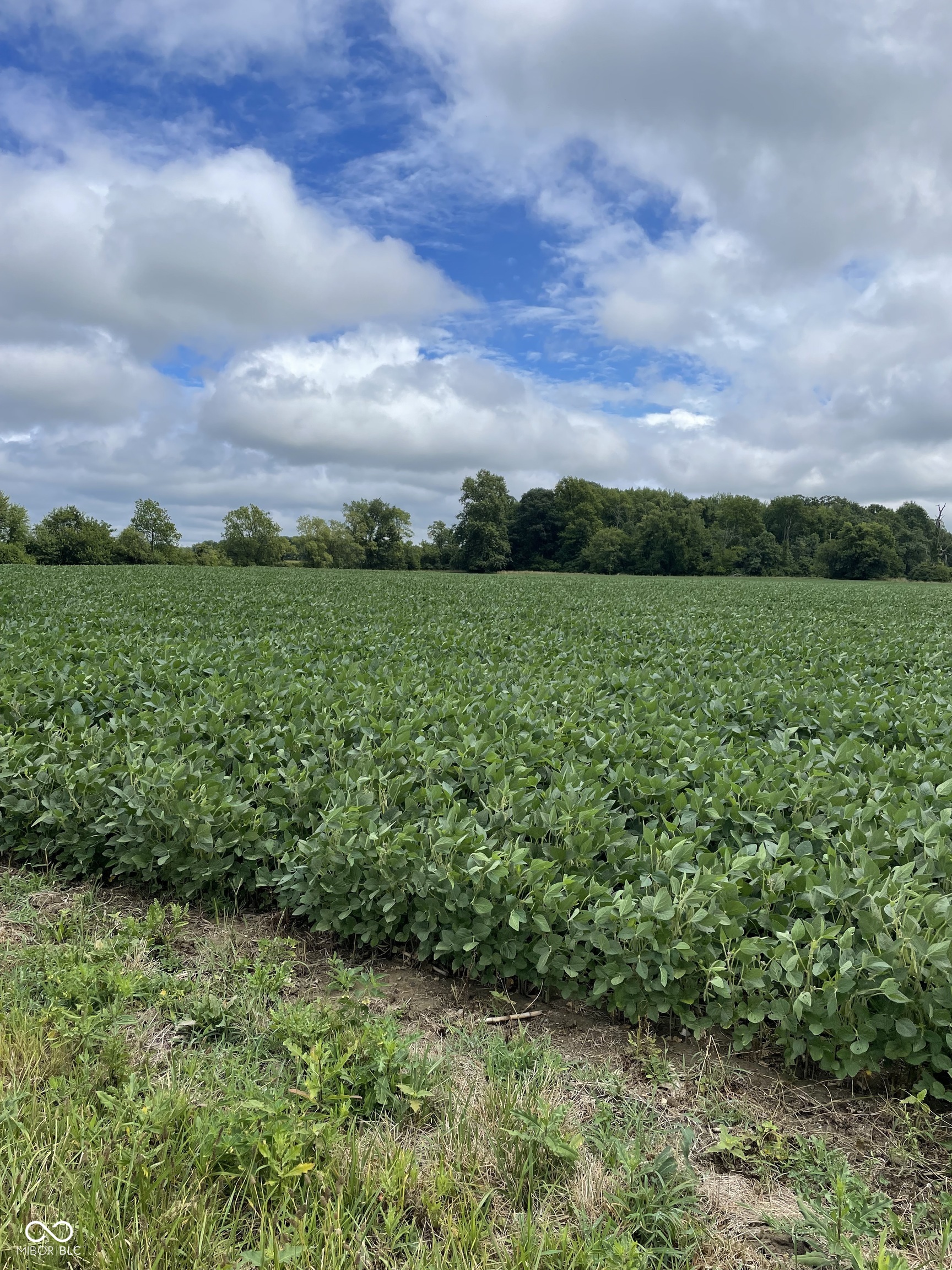 0 Rangeline South Road