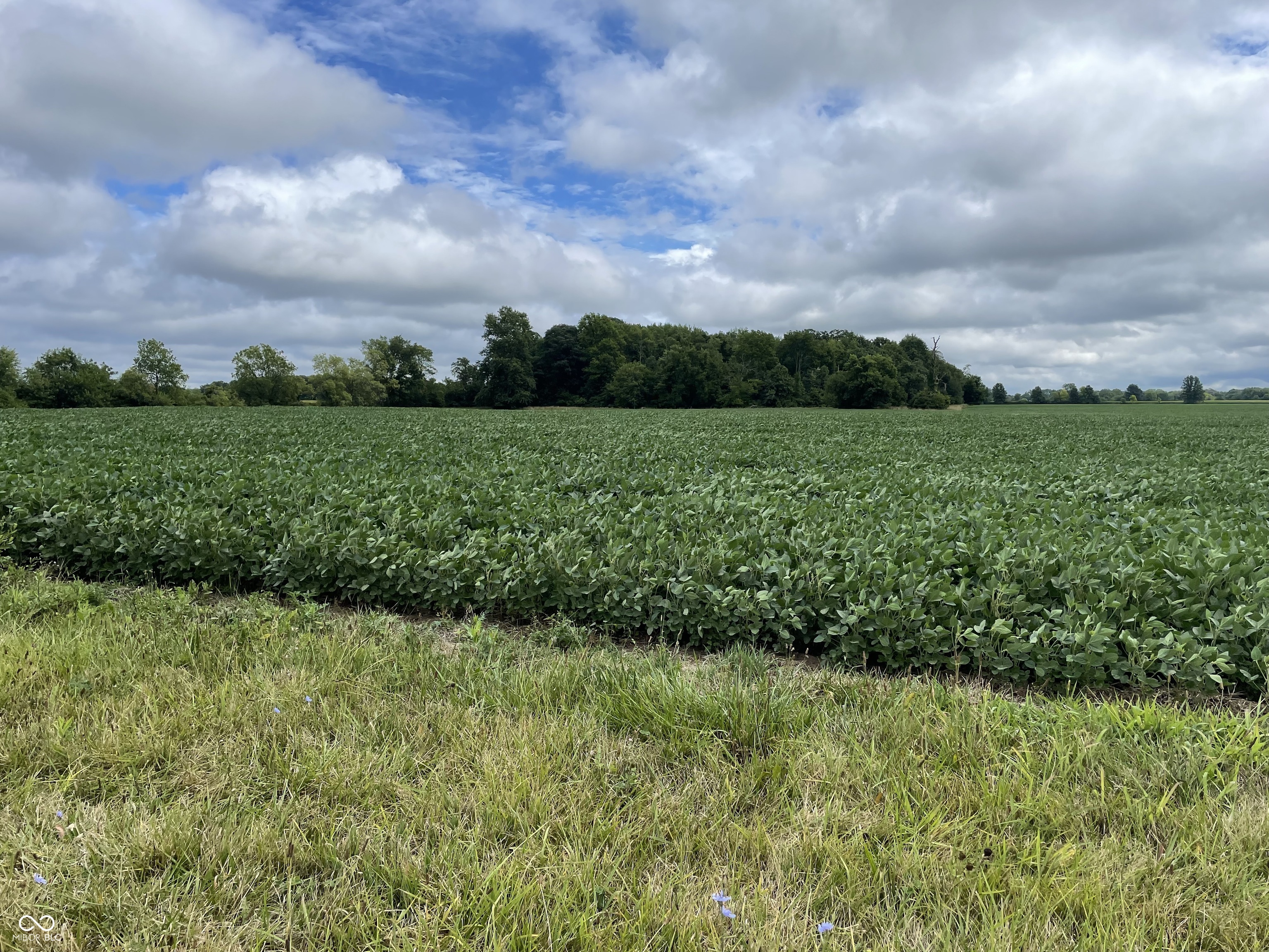 0 Rangeline South Road