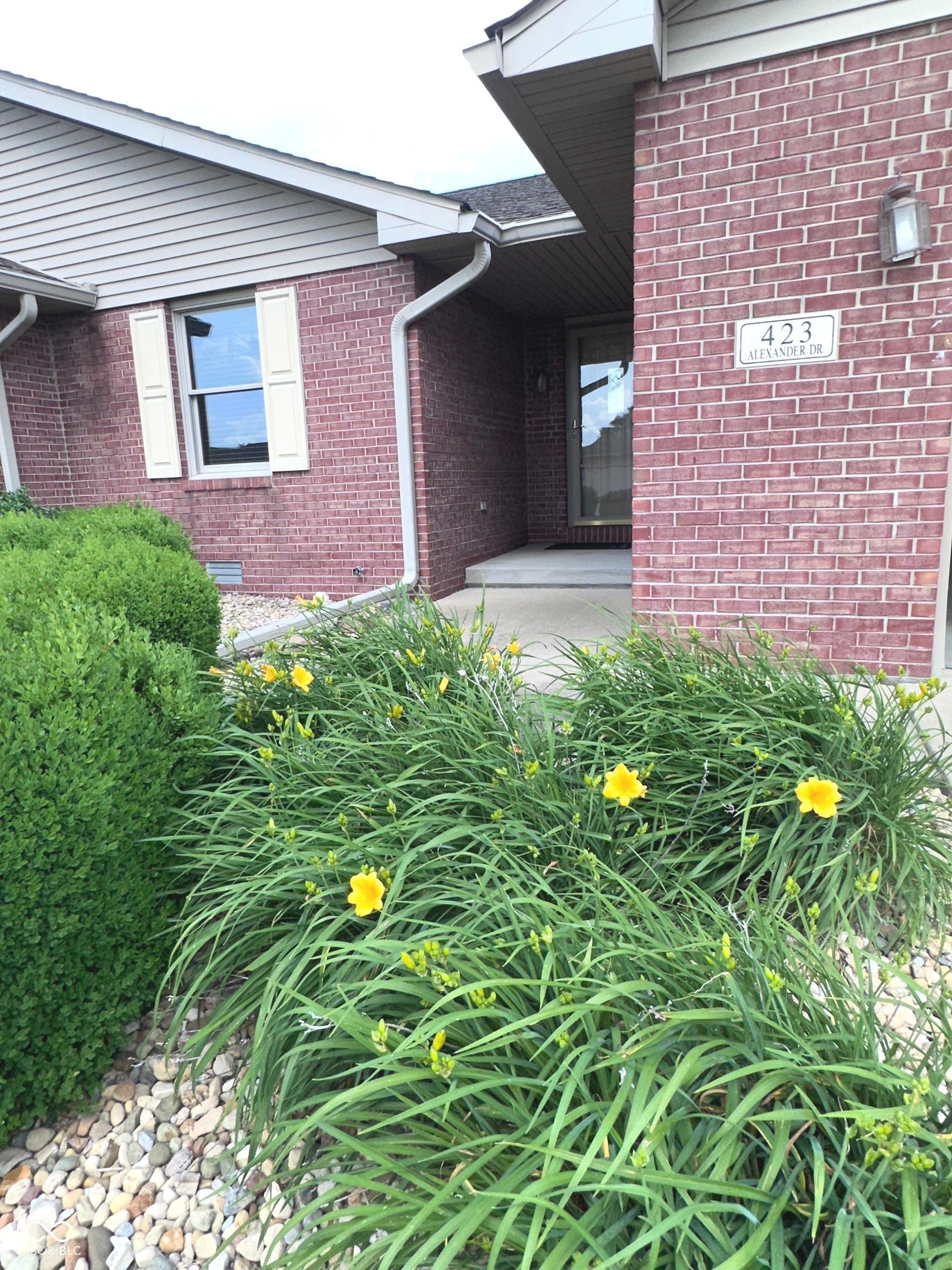 423 Alexander Drive