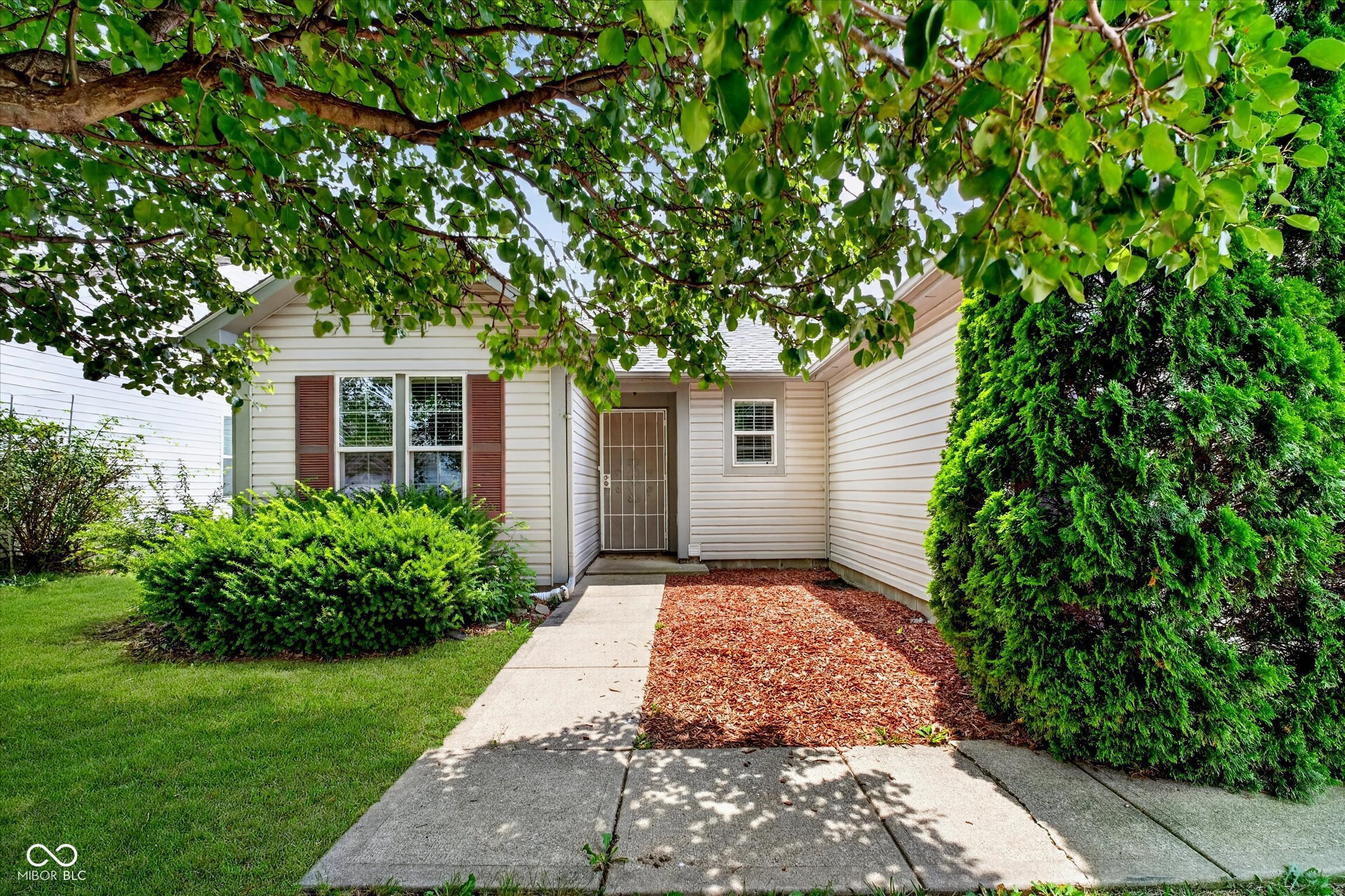 10747 Mistflower Way