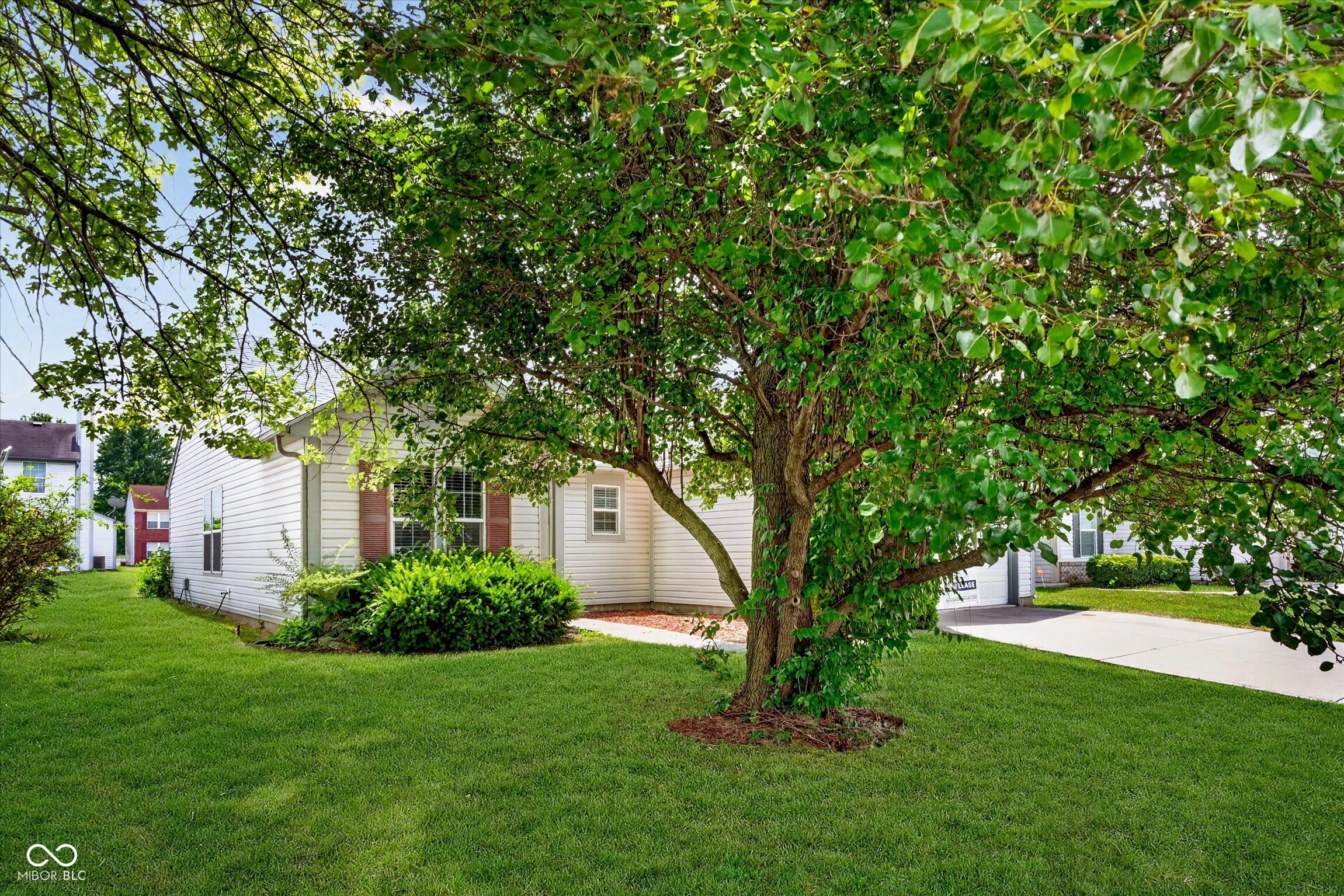 10747 Mistflower Way