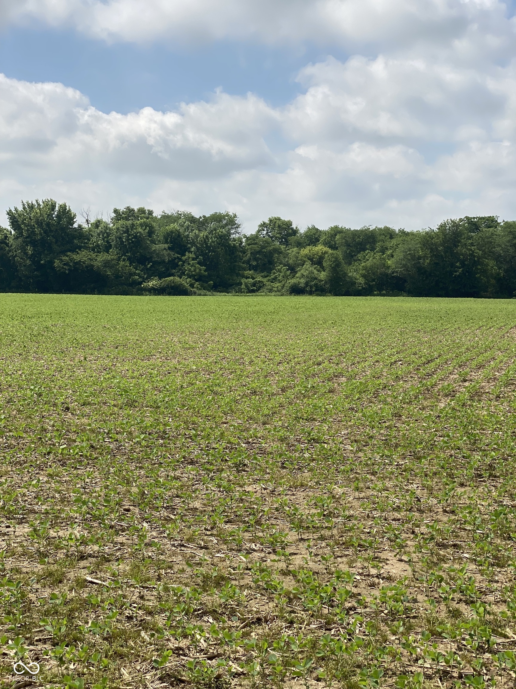 TBD E State Road 236