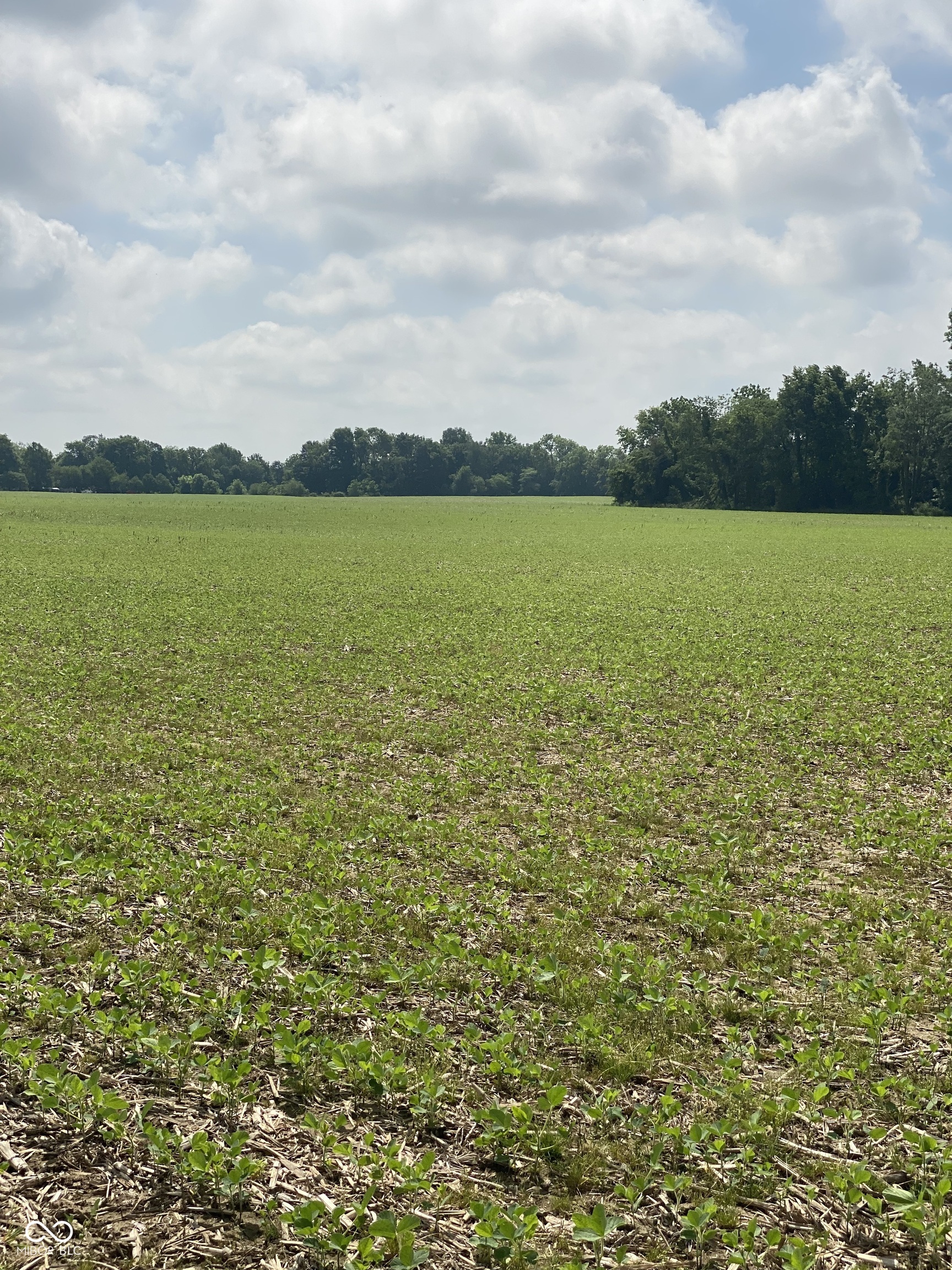 TBD E State Road 236