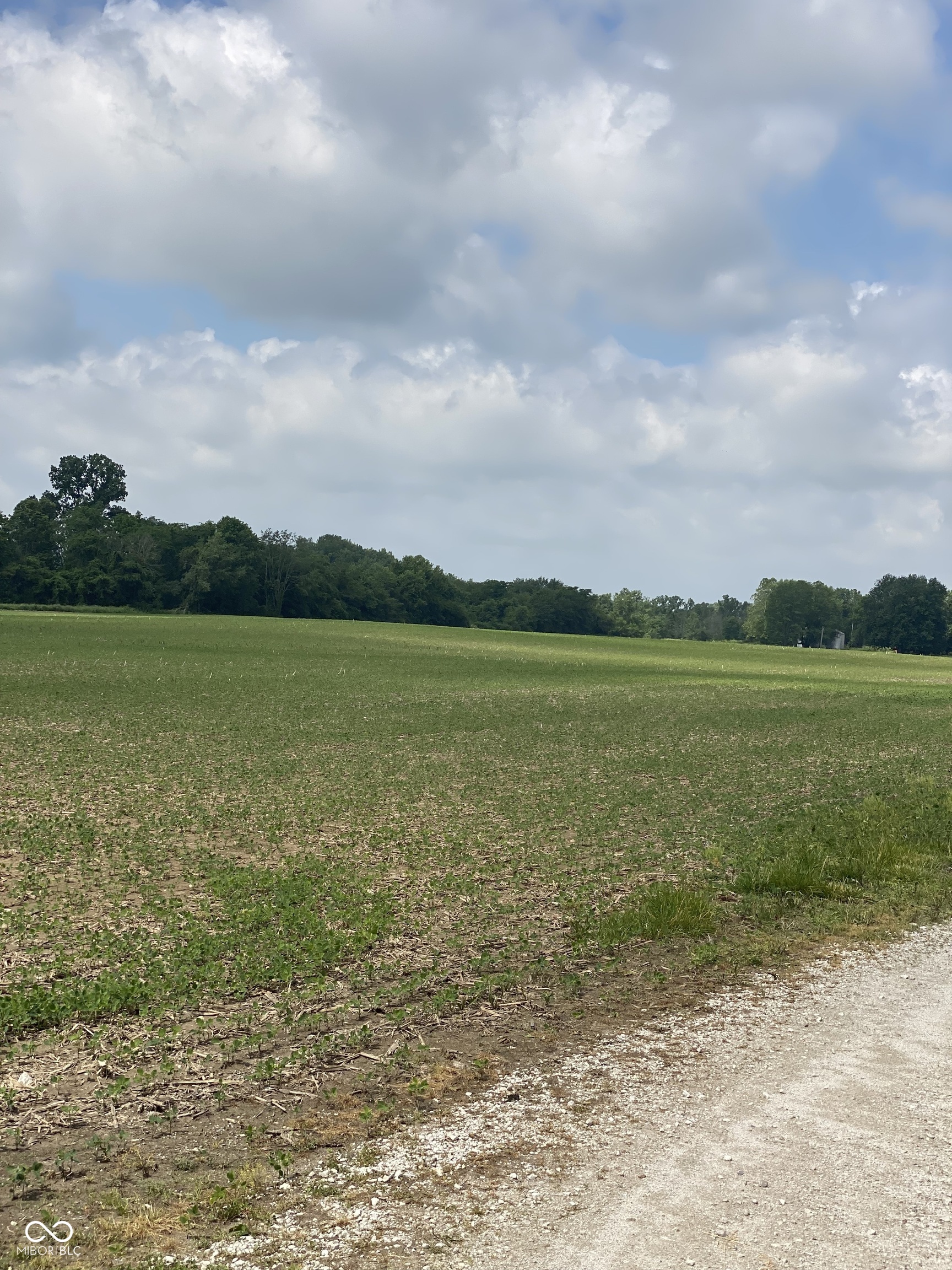 TBD E State Road 236