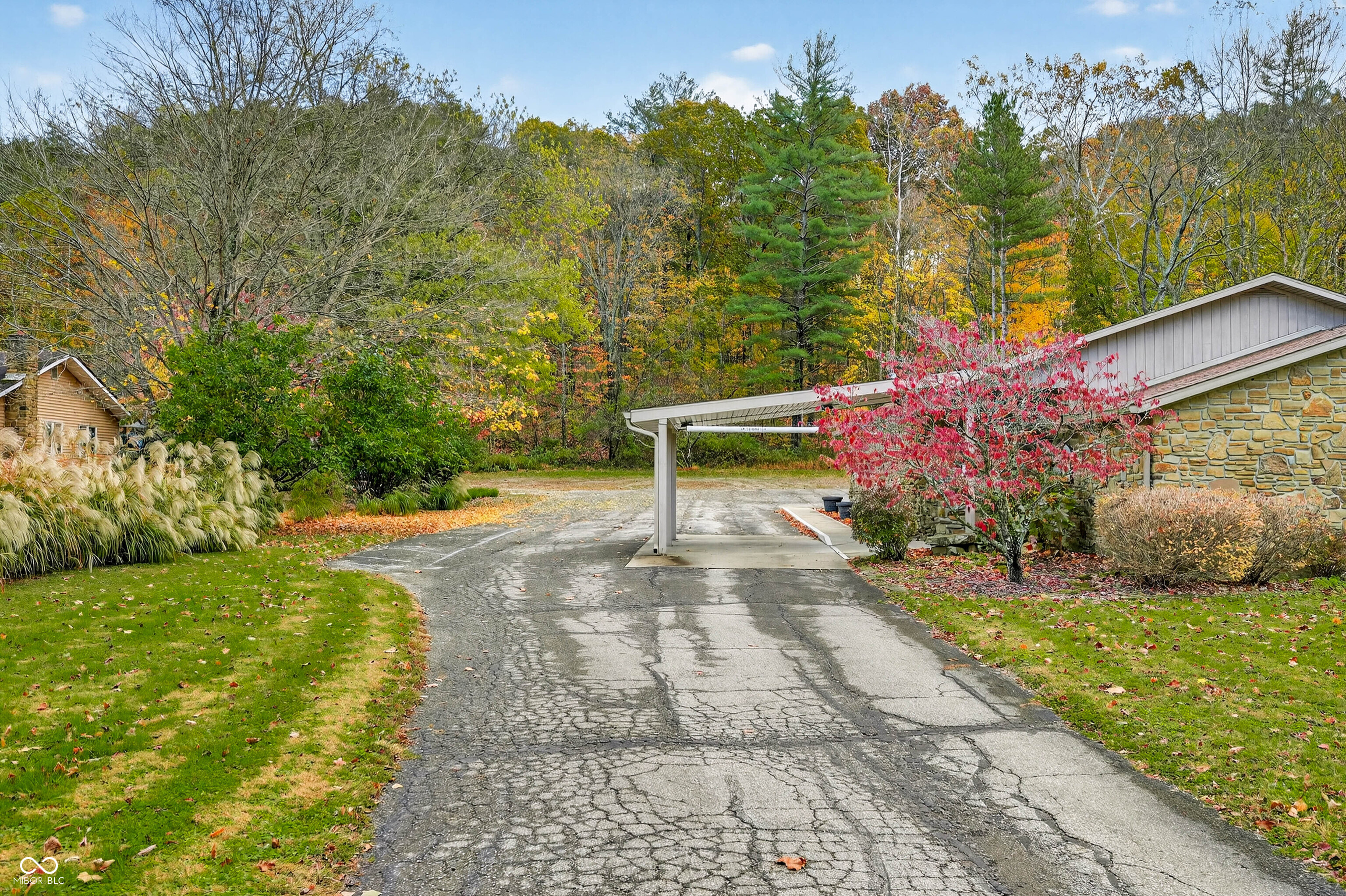 2123 Greasy Creek Road