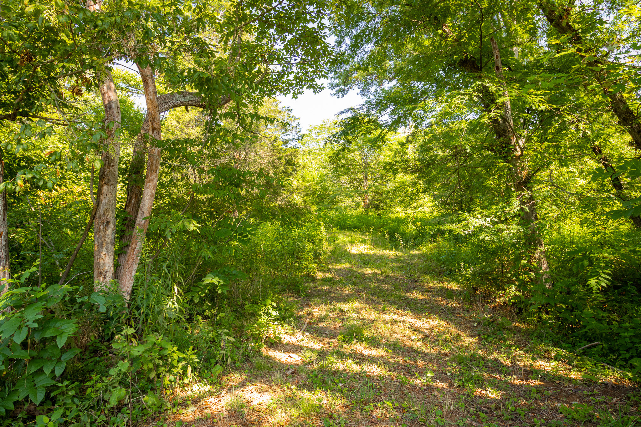 View Scipio, IN 47273 property