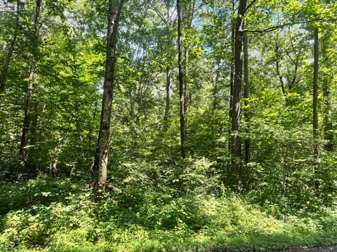 Photo for 145 White Oak