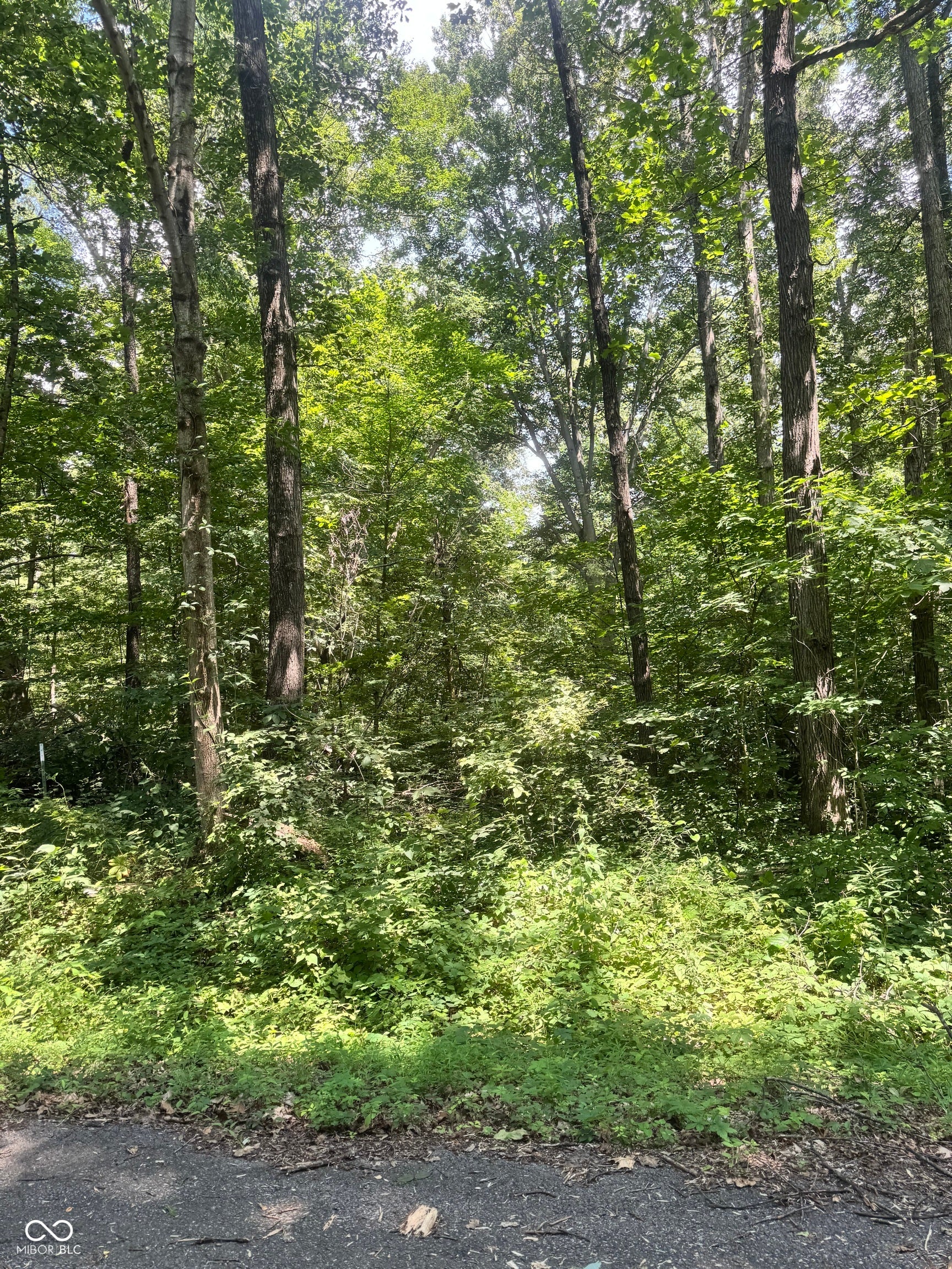 145 White Oak