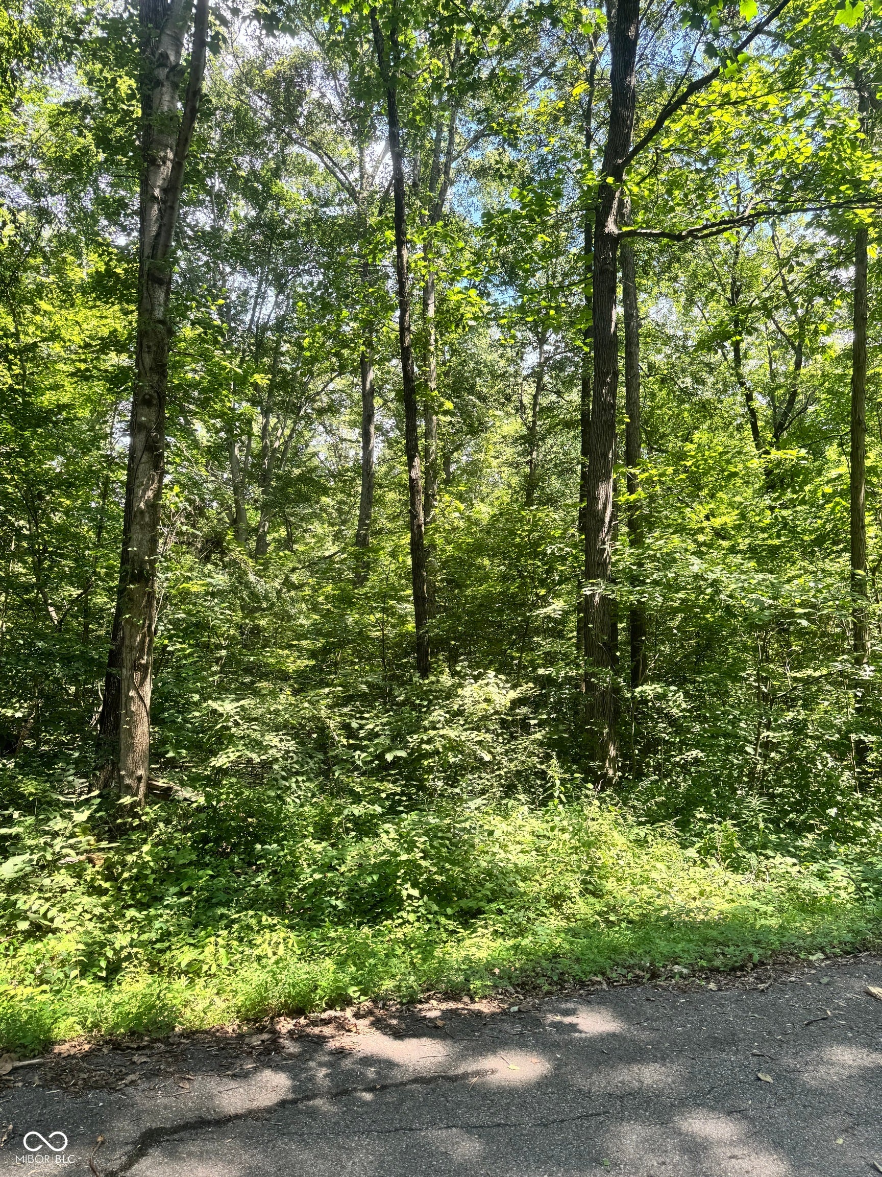 145 White Oak