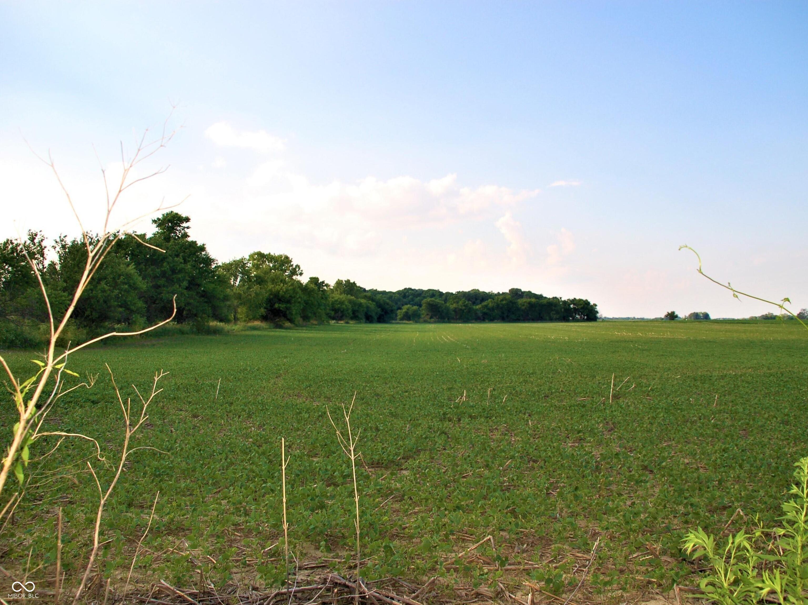 10188 E State Road 47