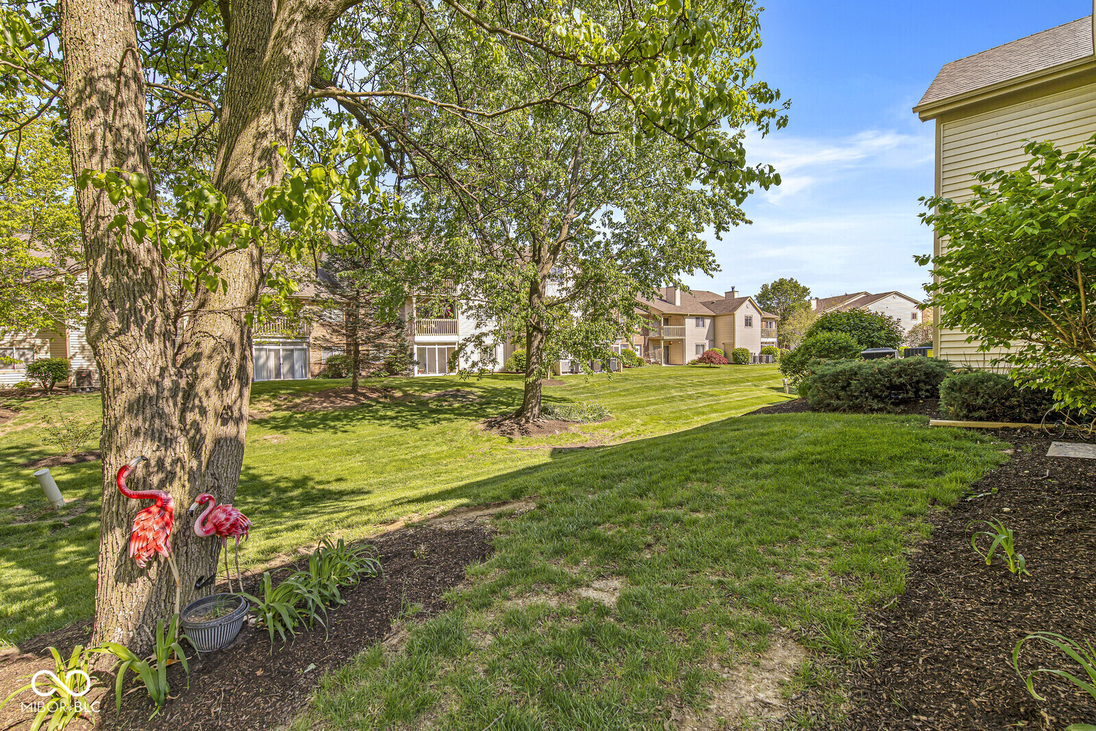 12559 Timber Creek Drive 5