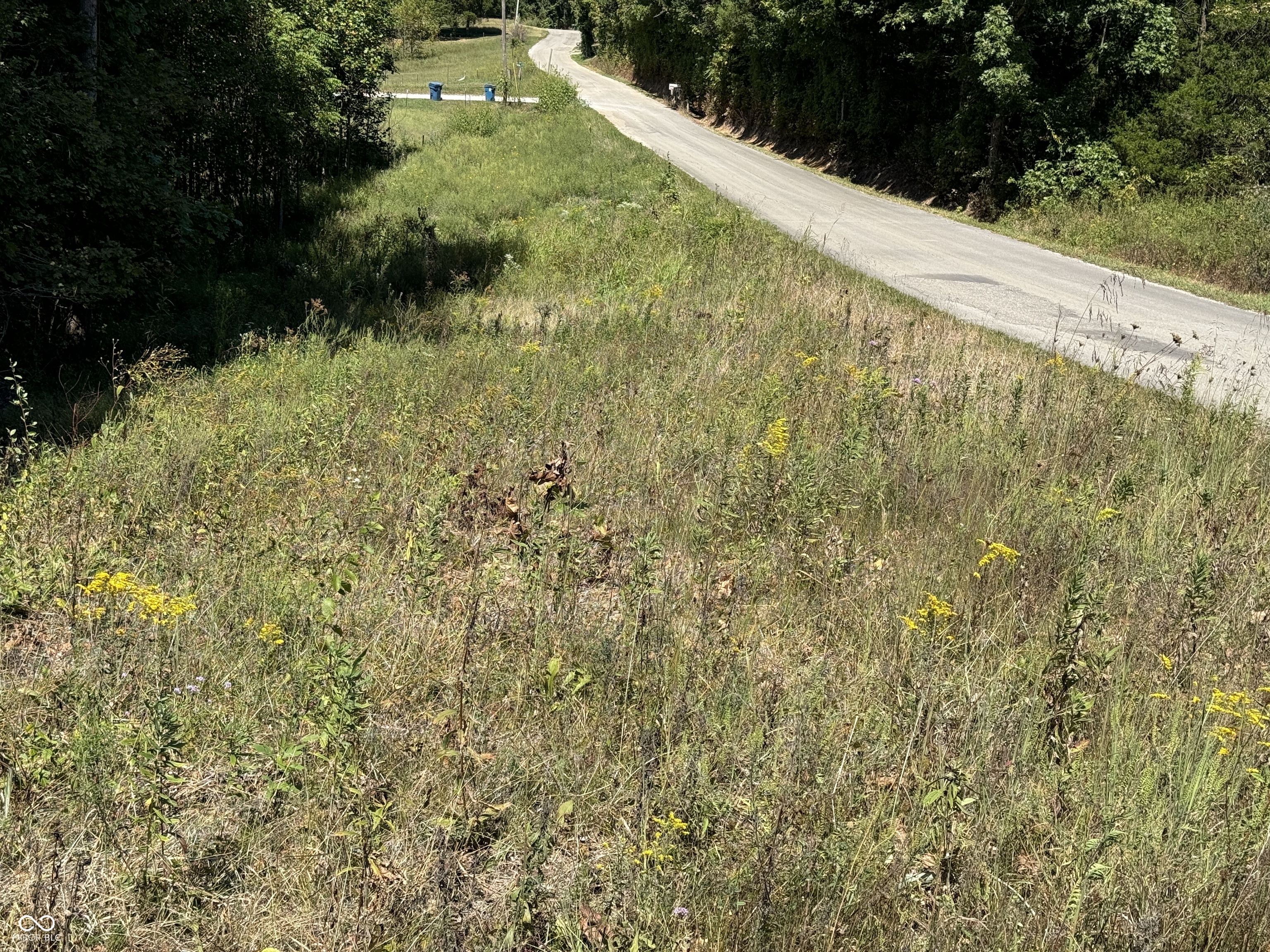 0000 E Big Springs Road