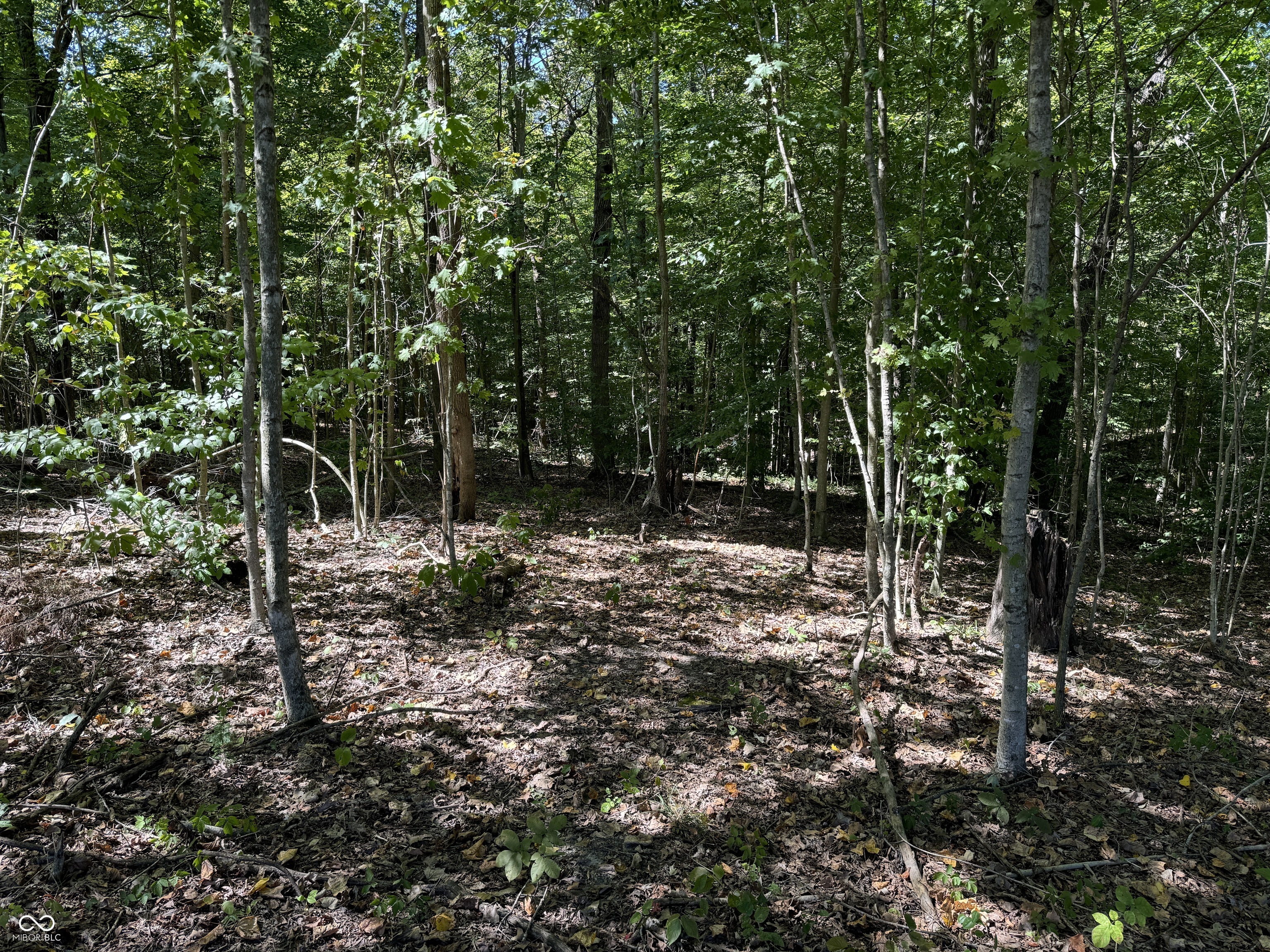 0000 E Big Springs Road