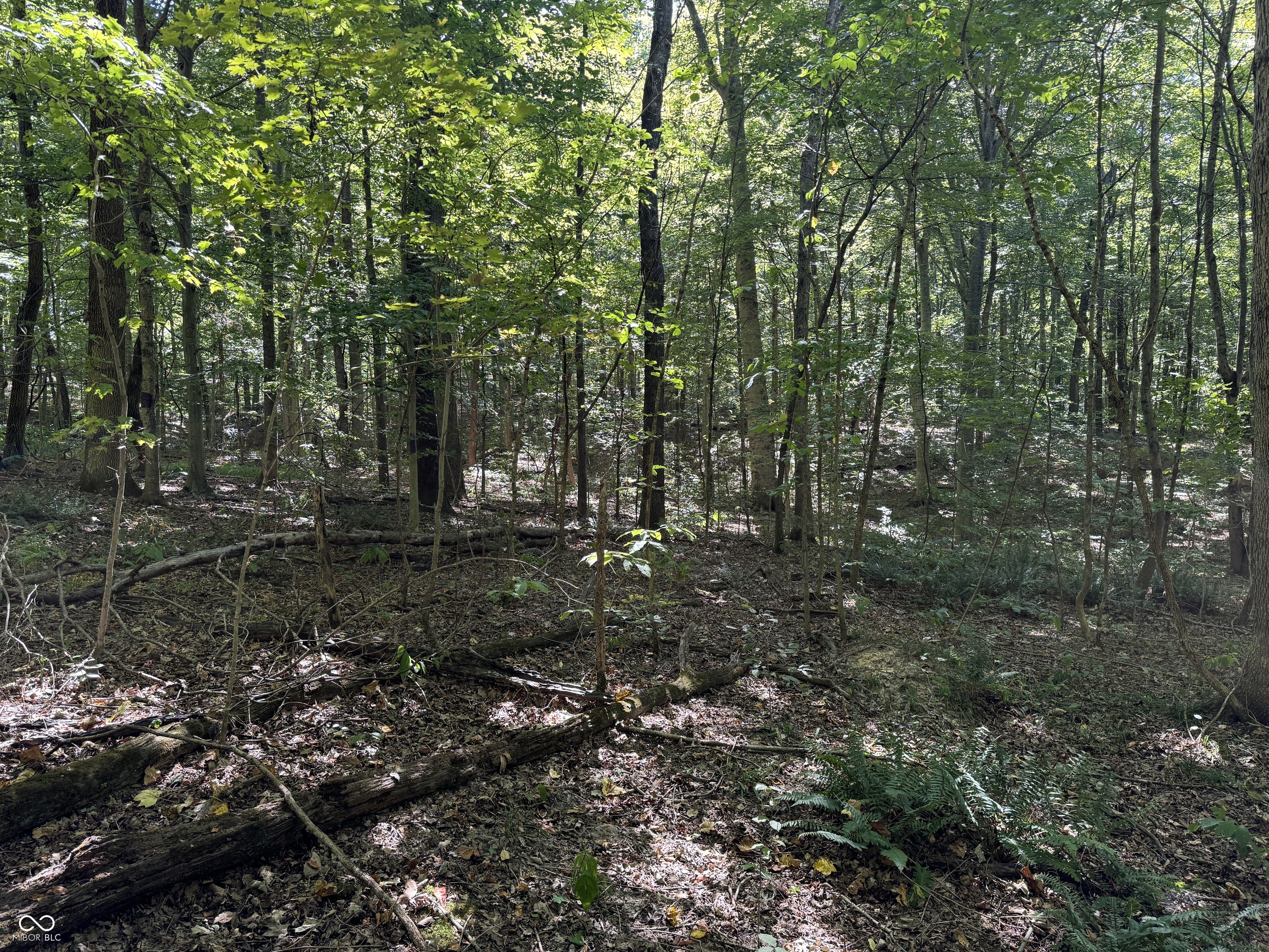 0000 E Big Springs Road