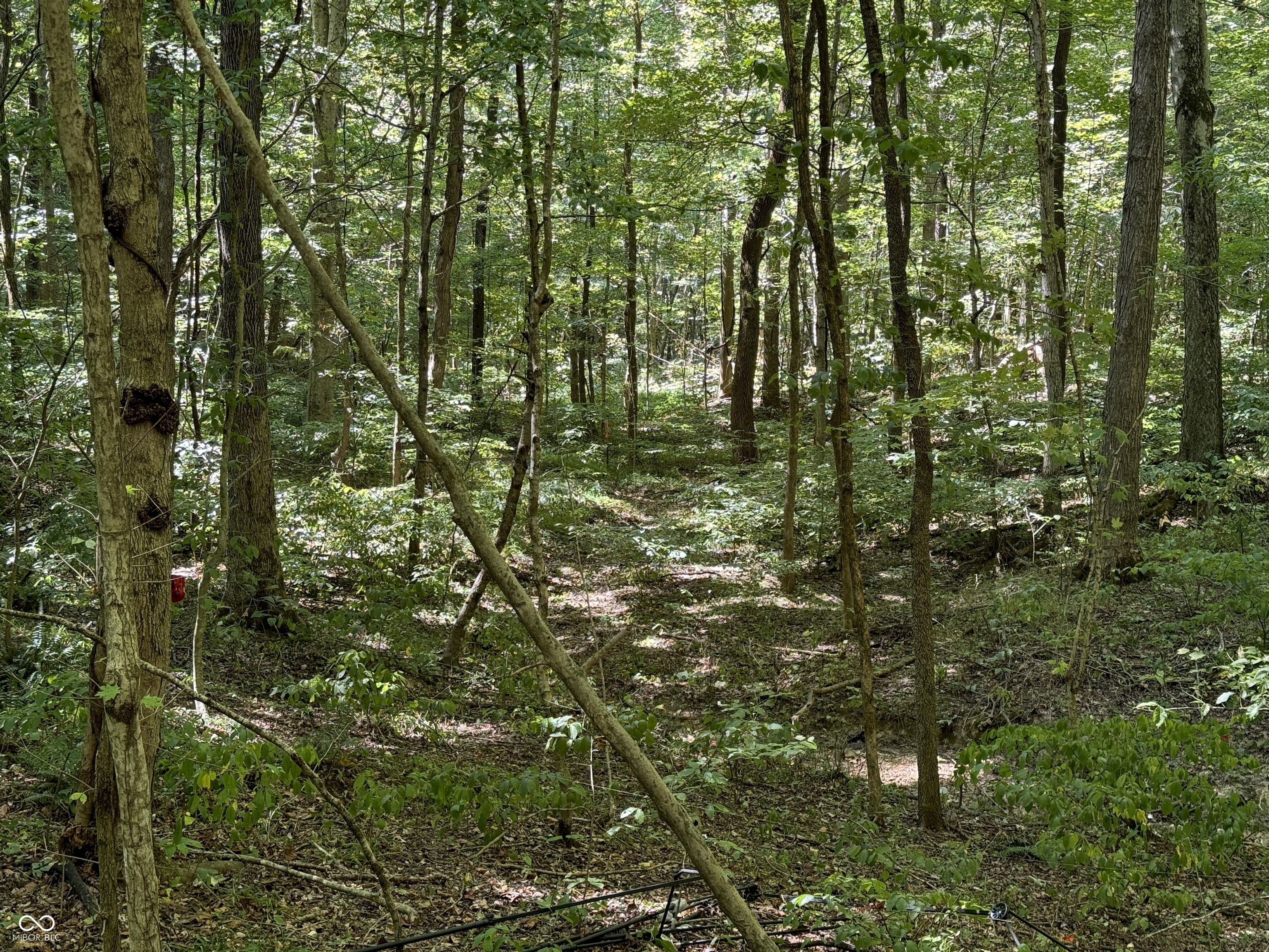 0000 E Big Springs Road