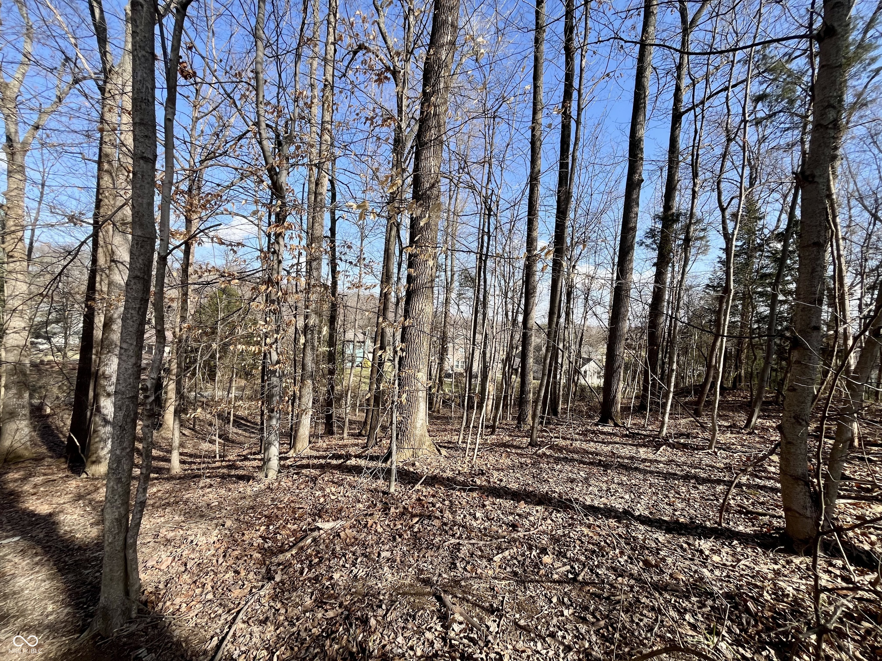 1865 Red Fox Court E