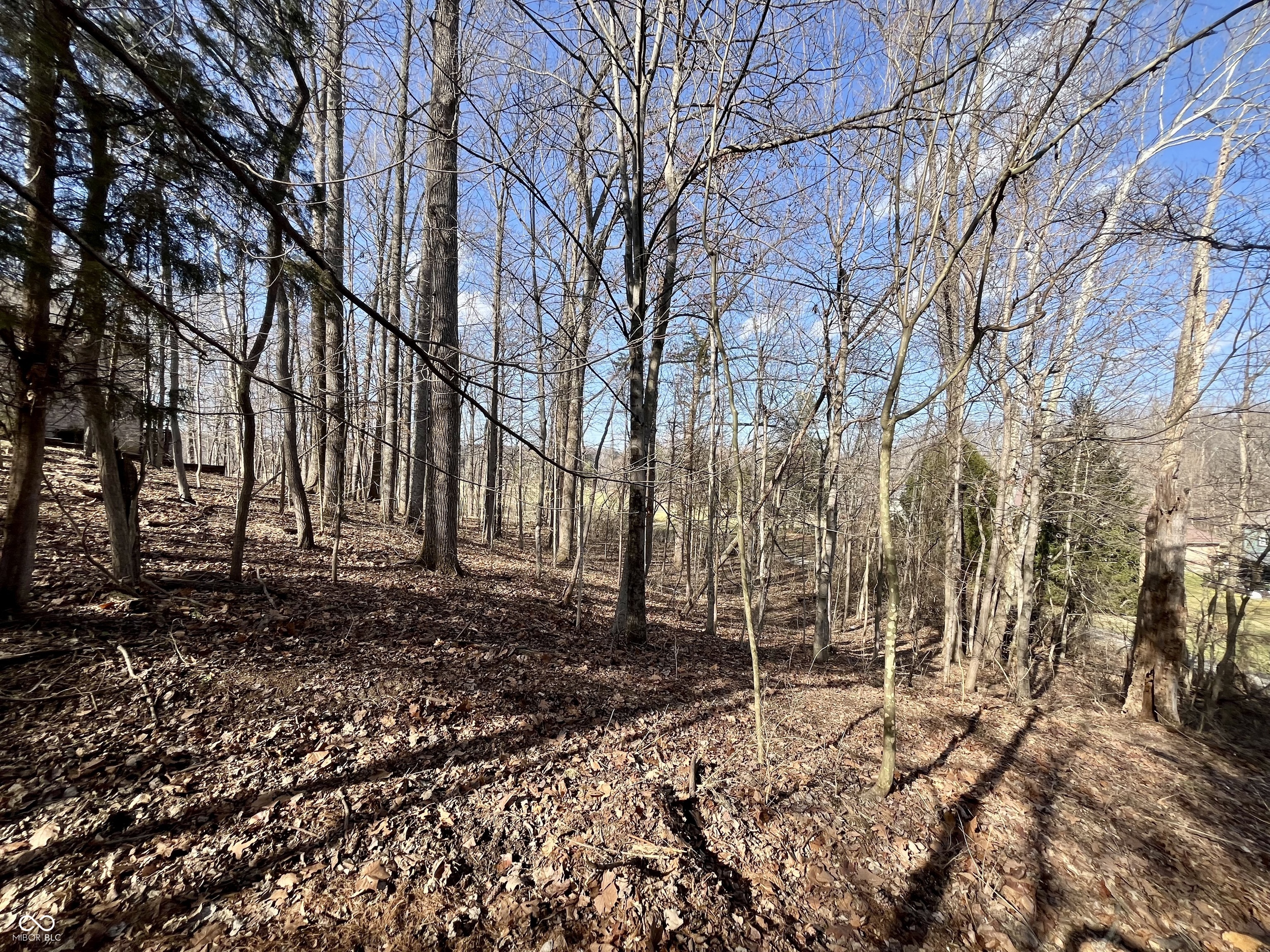 1865 Red Fox Court E